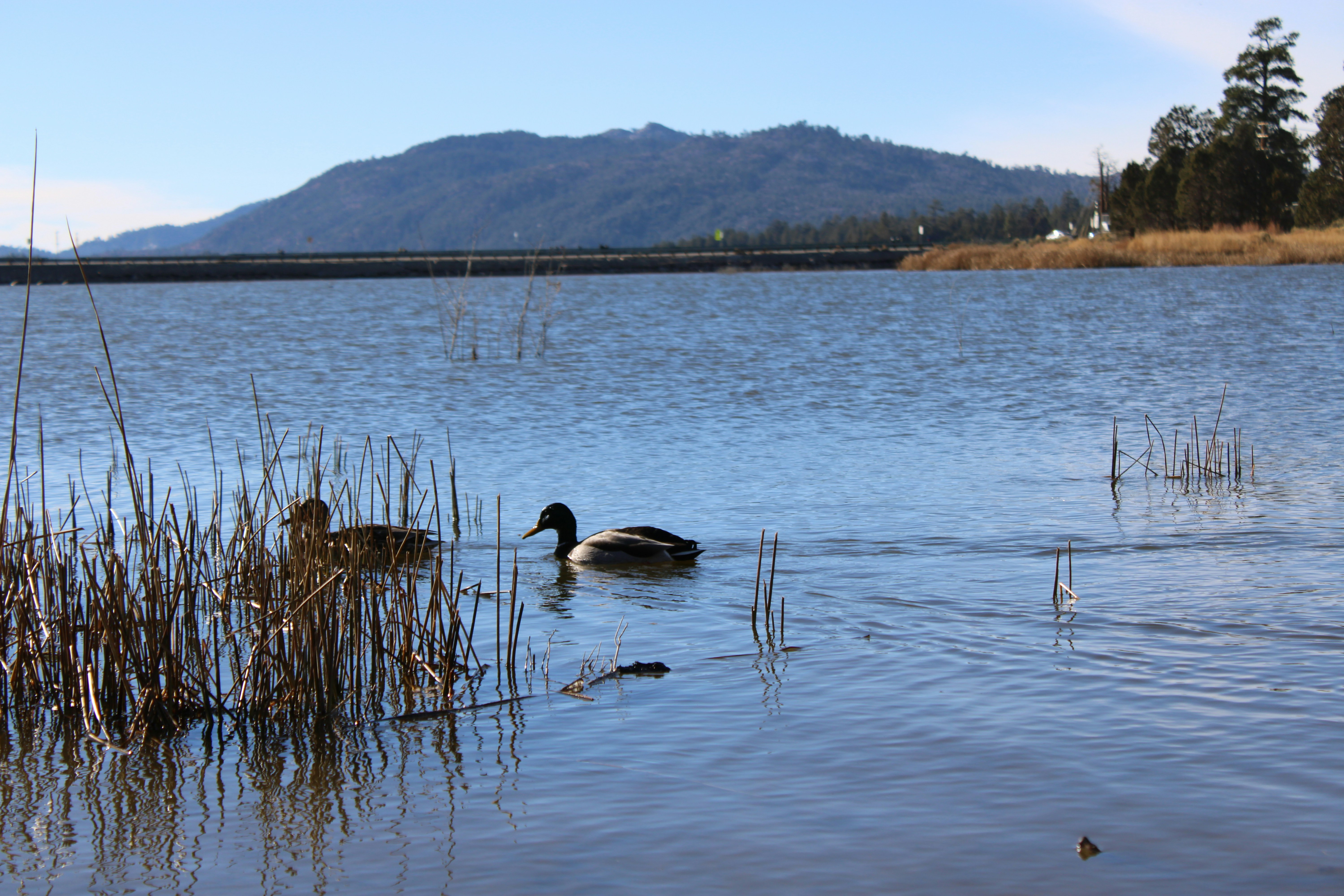 Photo by saibokaoerou