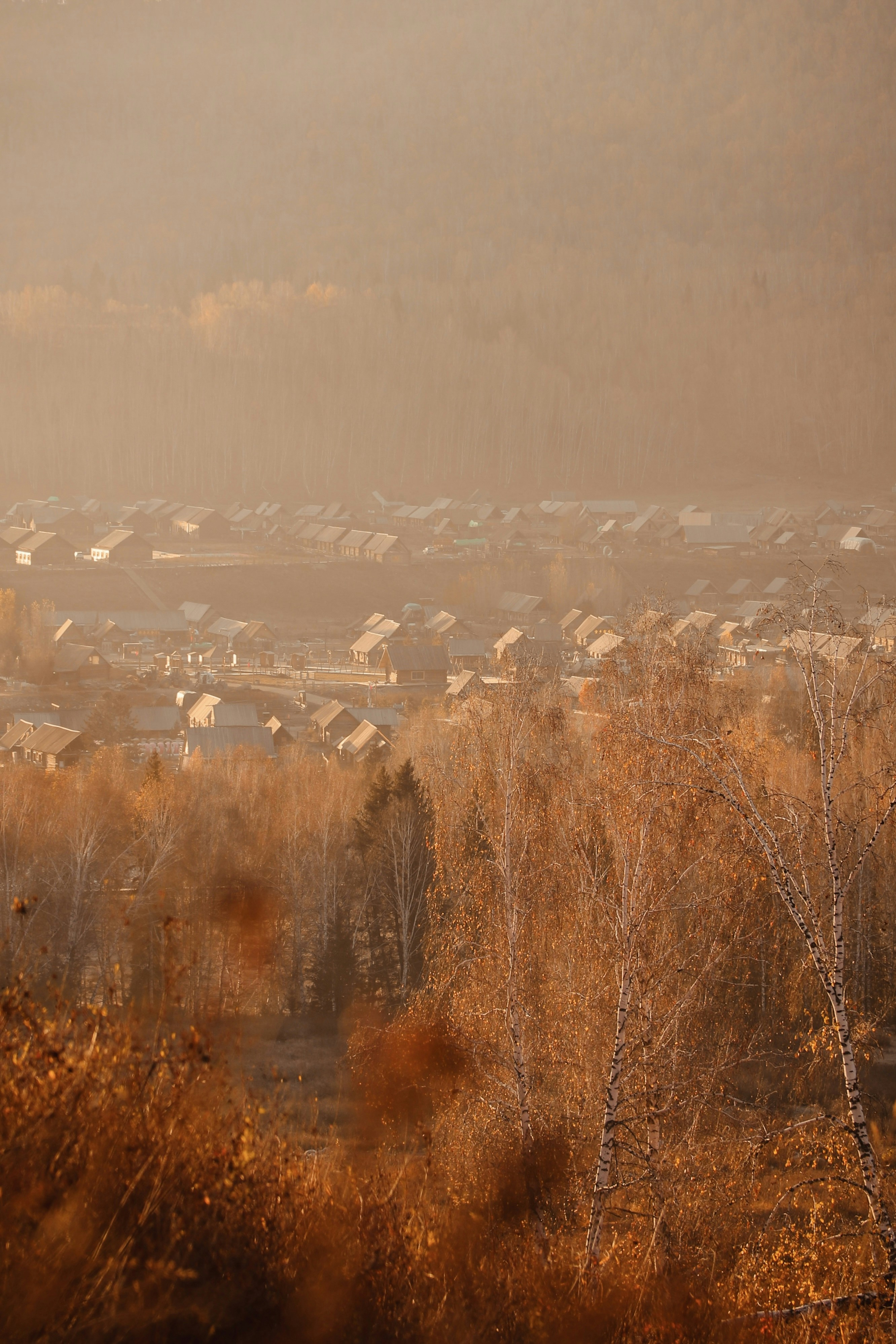 Eine neblige Stadt liegt zwischen goldenen Herbstbäumen.
