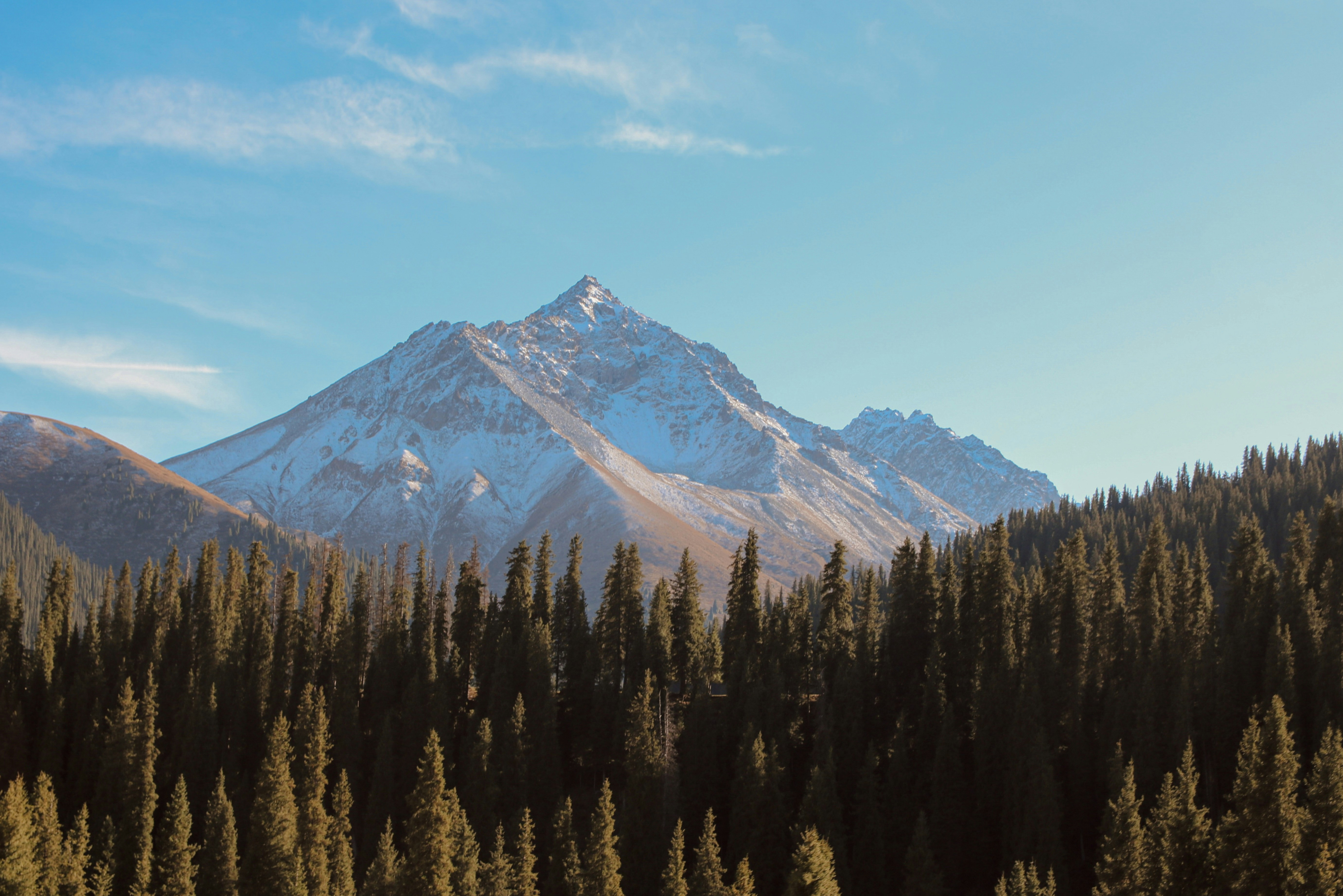 Ein schneebedeckter Berggipfel erhebt sich über einem Wald.