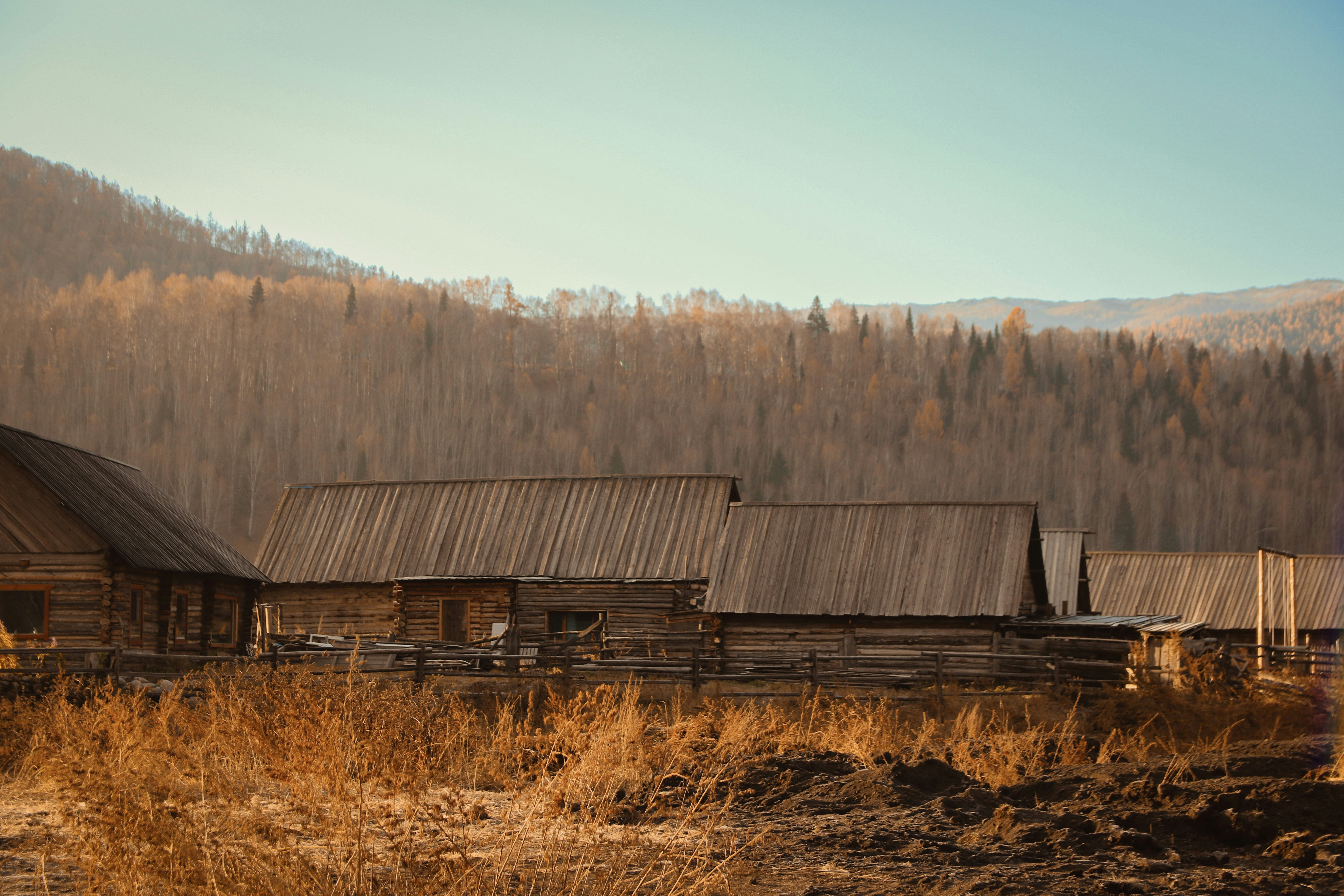 Holzhäuser stehen vor einem Wald.