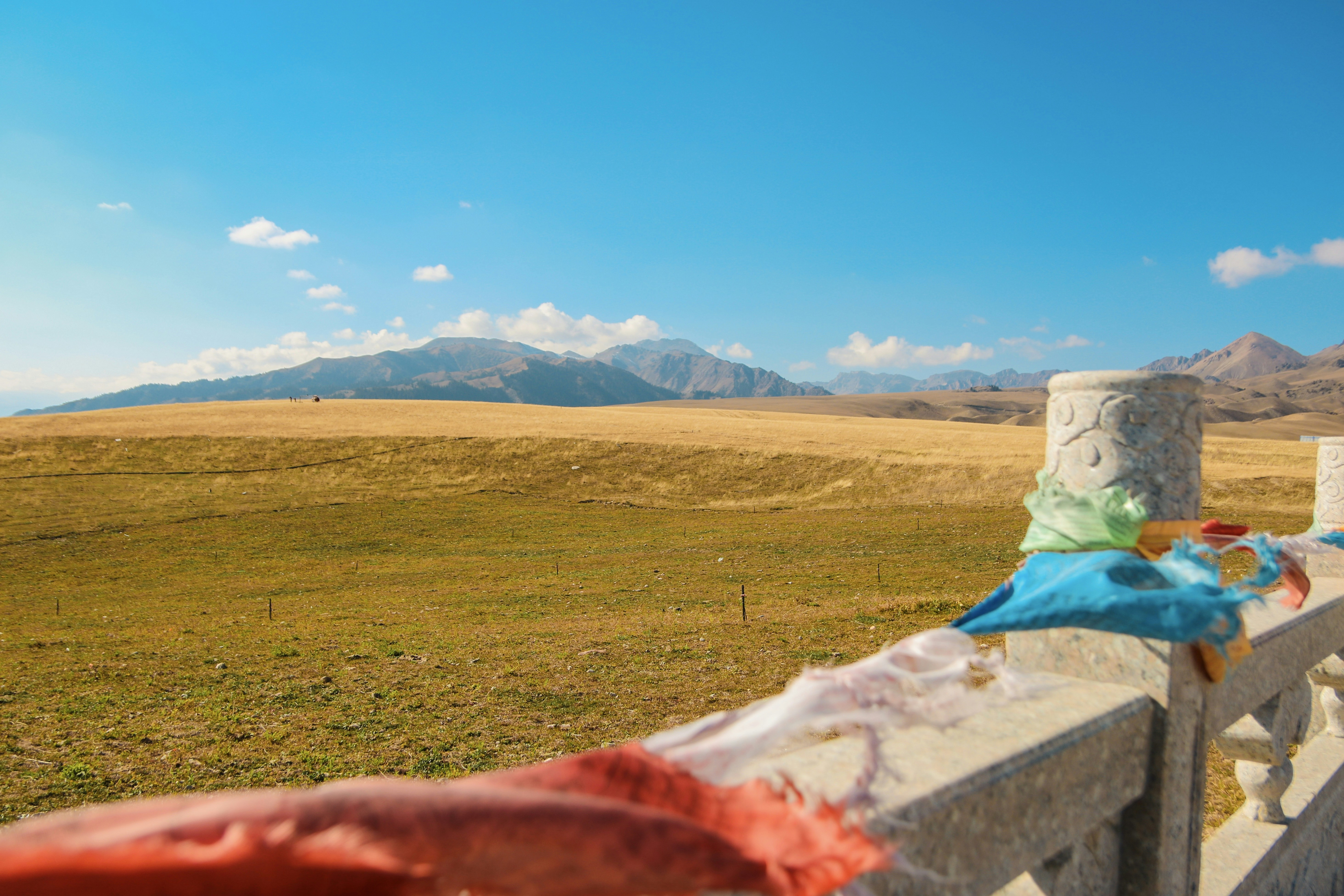 Lebendiges Feld führt zu fernen Bergen unter klarem Himmel.
