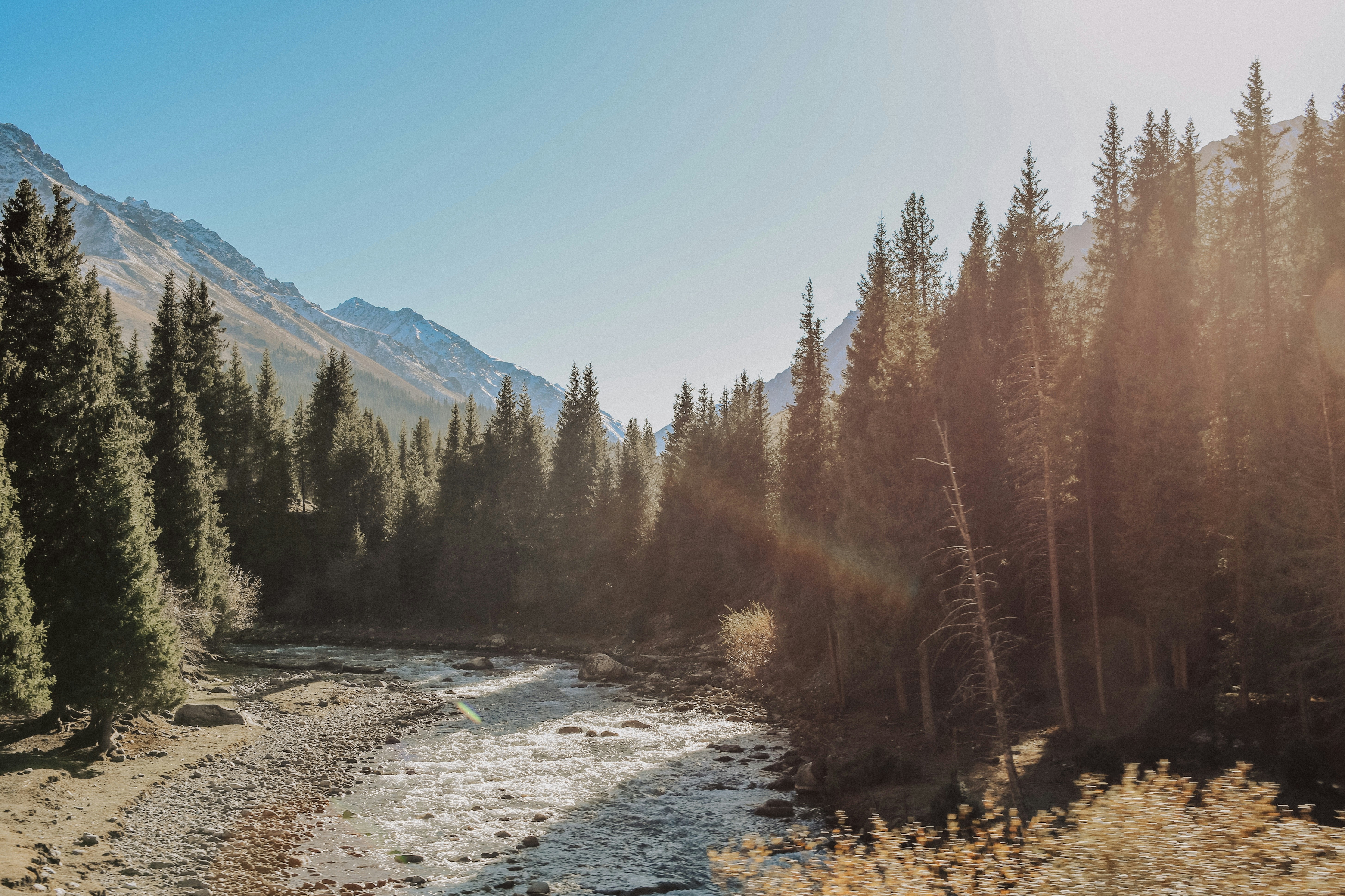 Bäume und ein Fluss fließen durch die Berglandschaft.