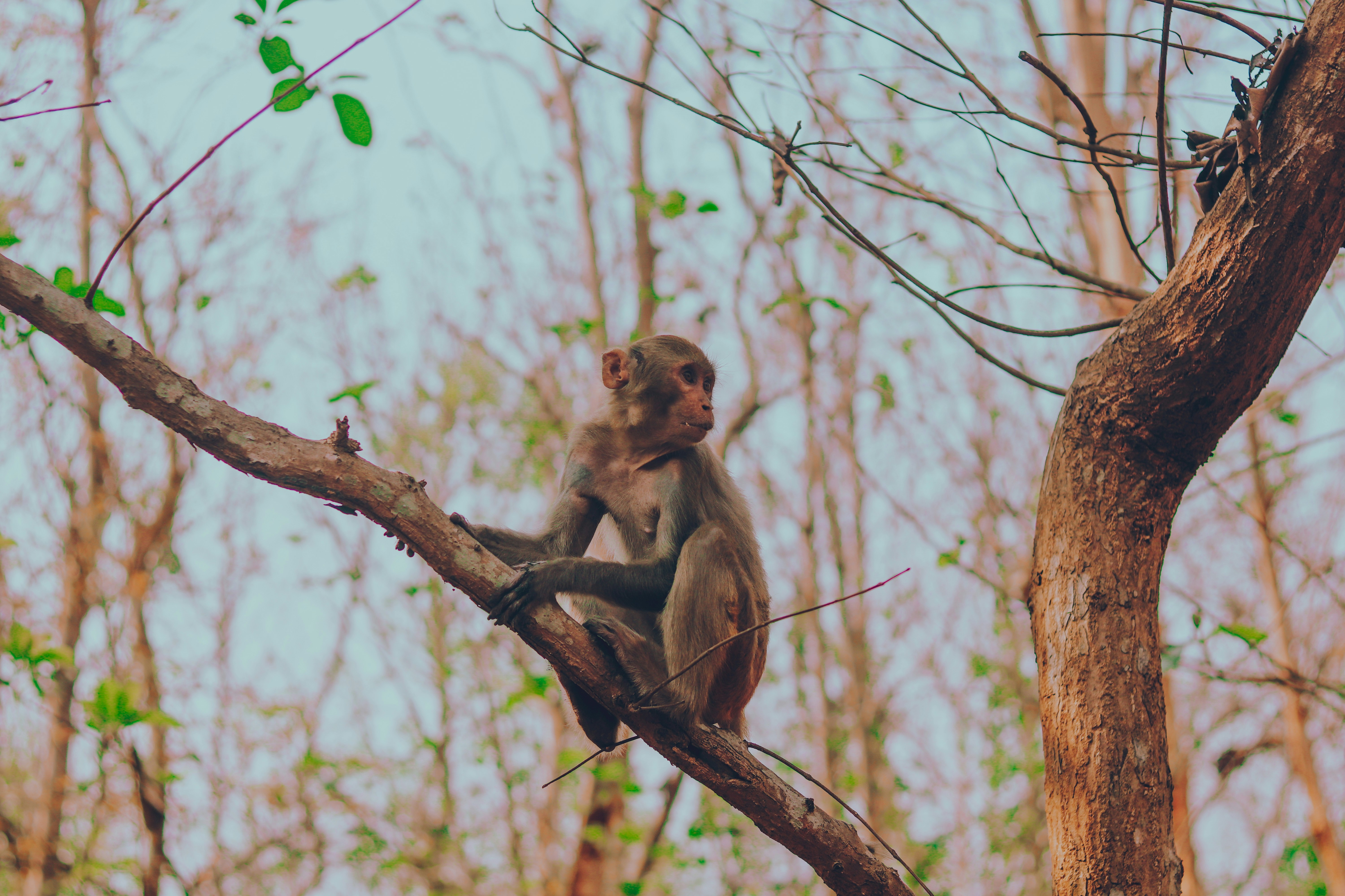 Photo by nayaktulu354