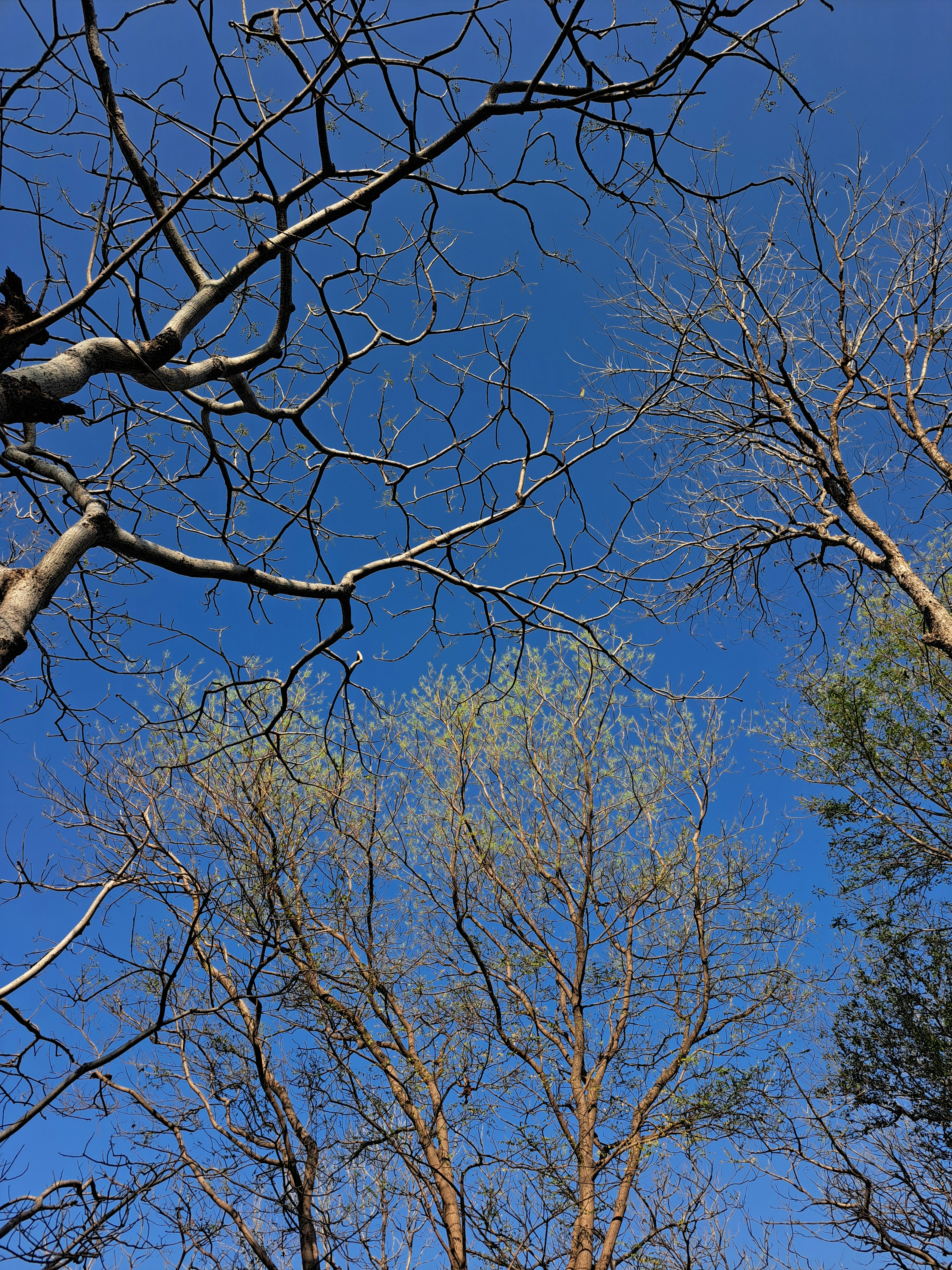 Photo by nayaktulu354