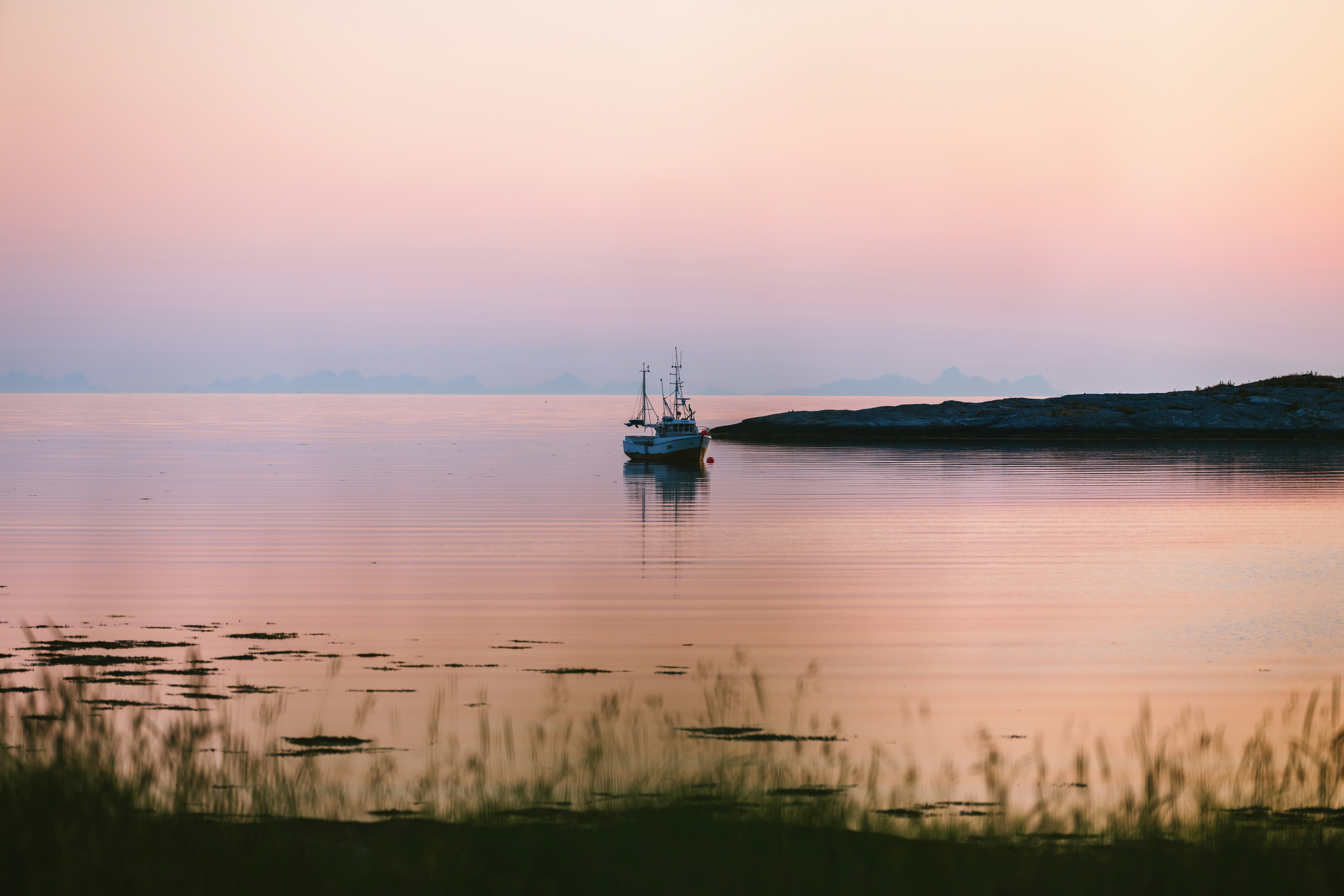 Photo by kristapsungurs