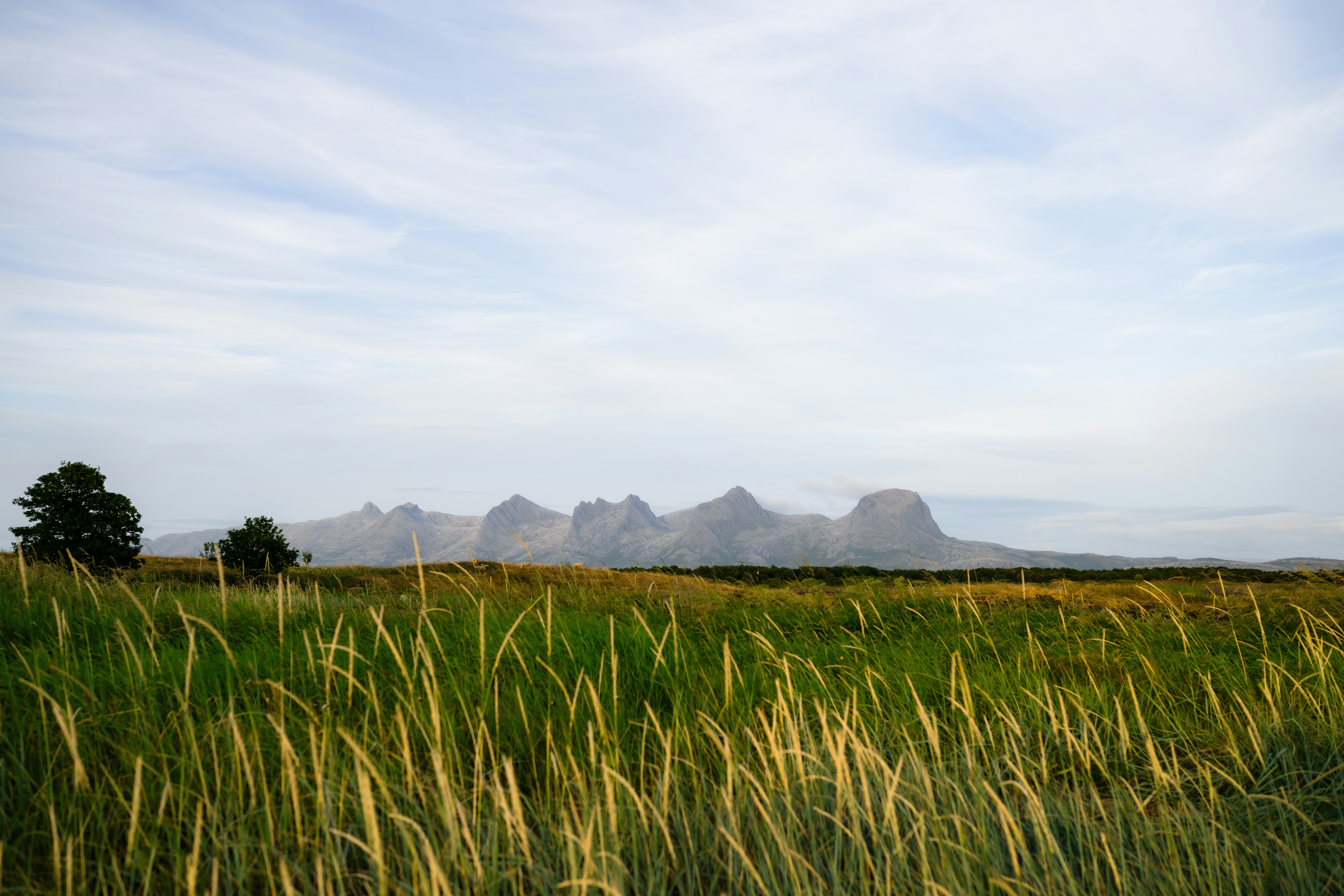 Photo by kristapsungurs