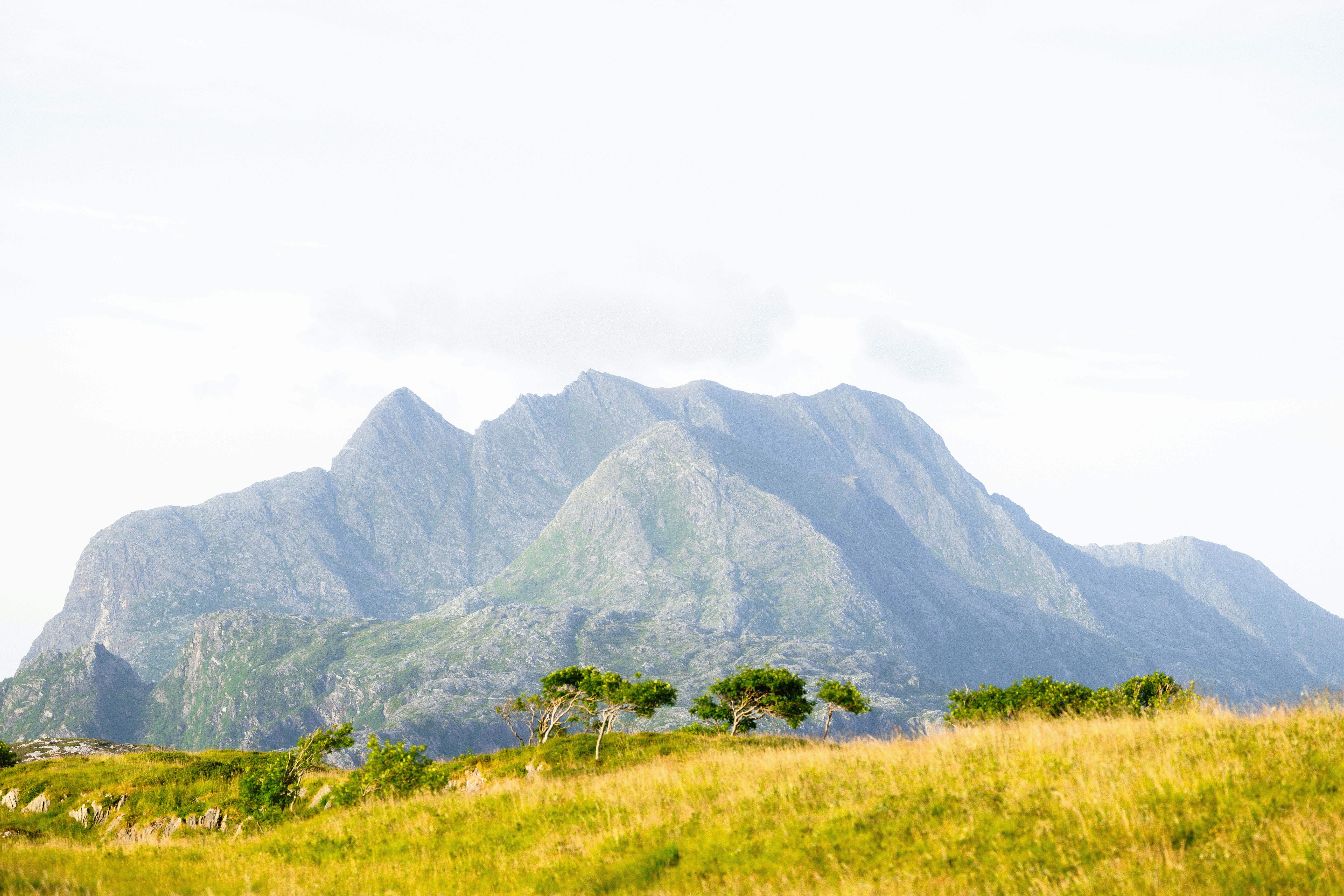 Photo by kristapsungurs