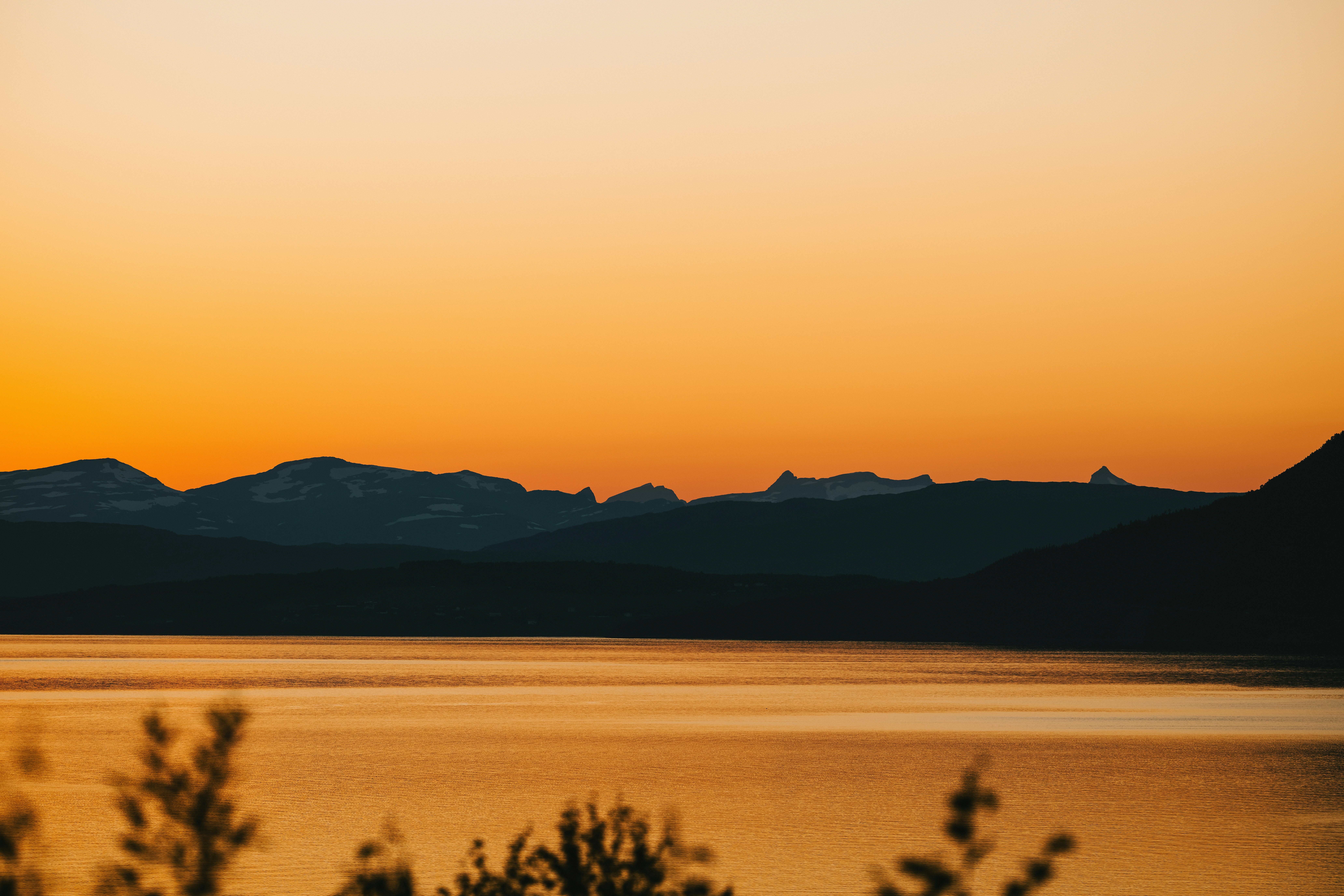 Photo by kristapsungurs