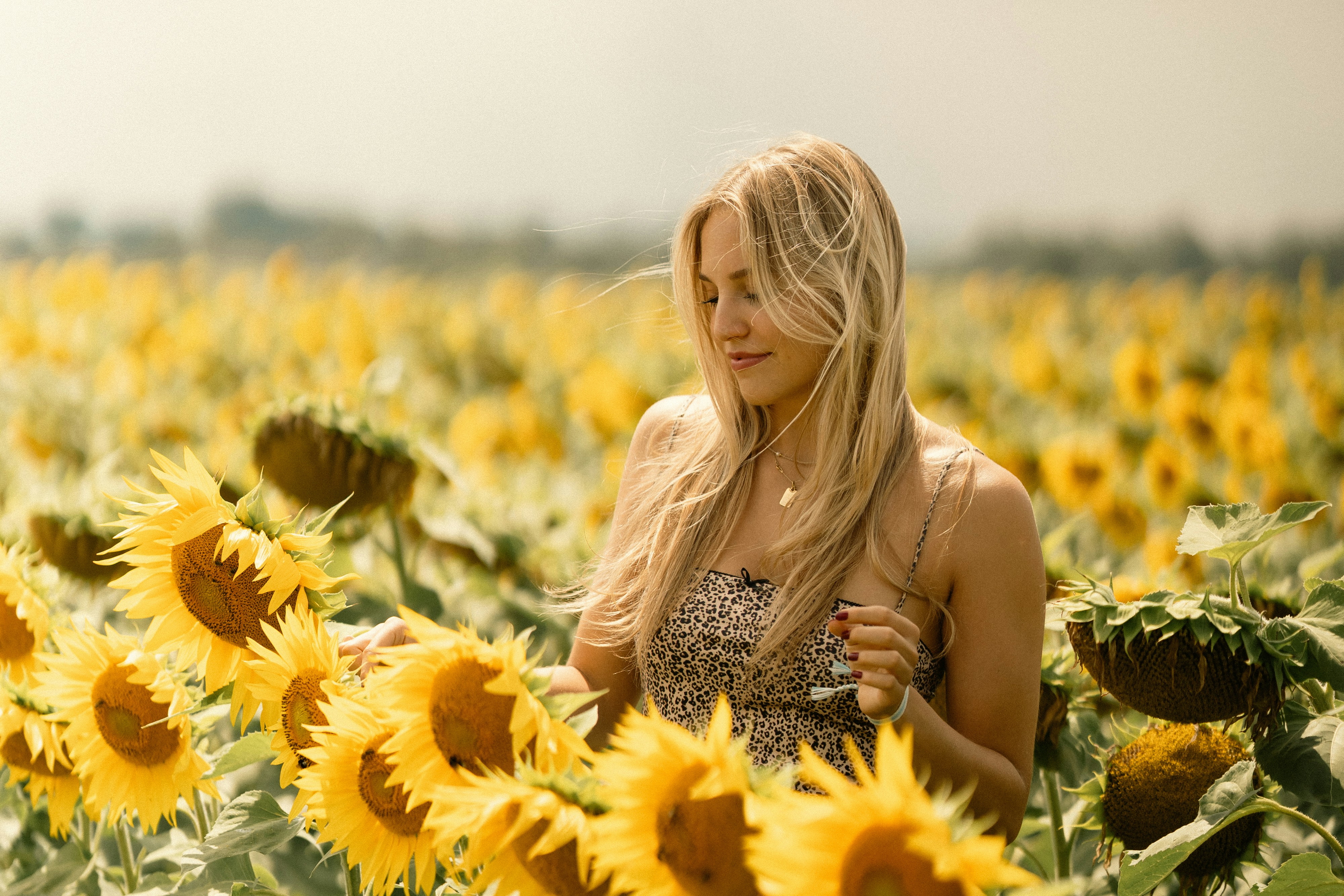 Woman enjoys a moment in a sunflower field.