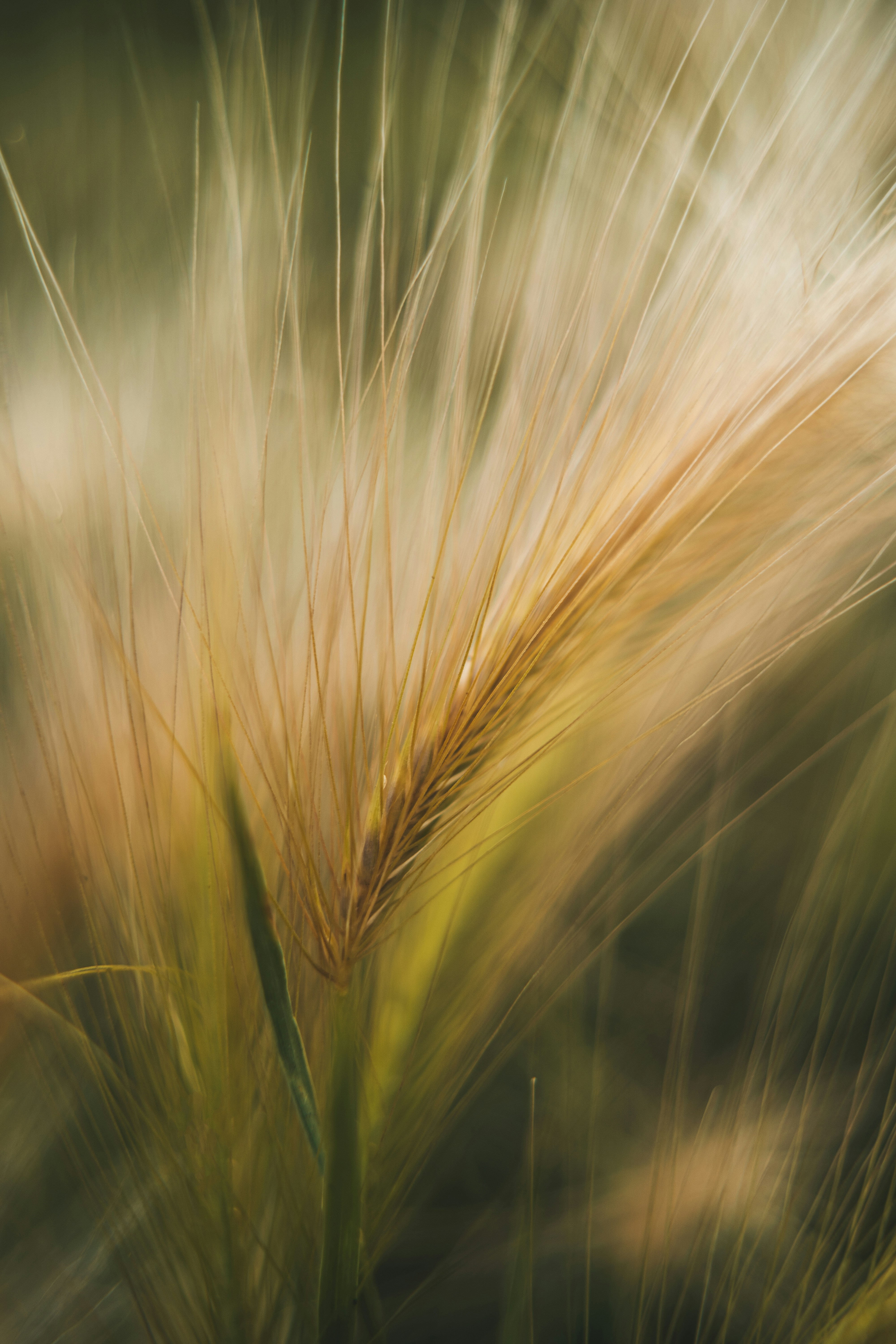 Photo by anamnesis33