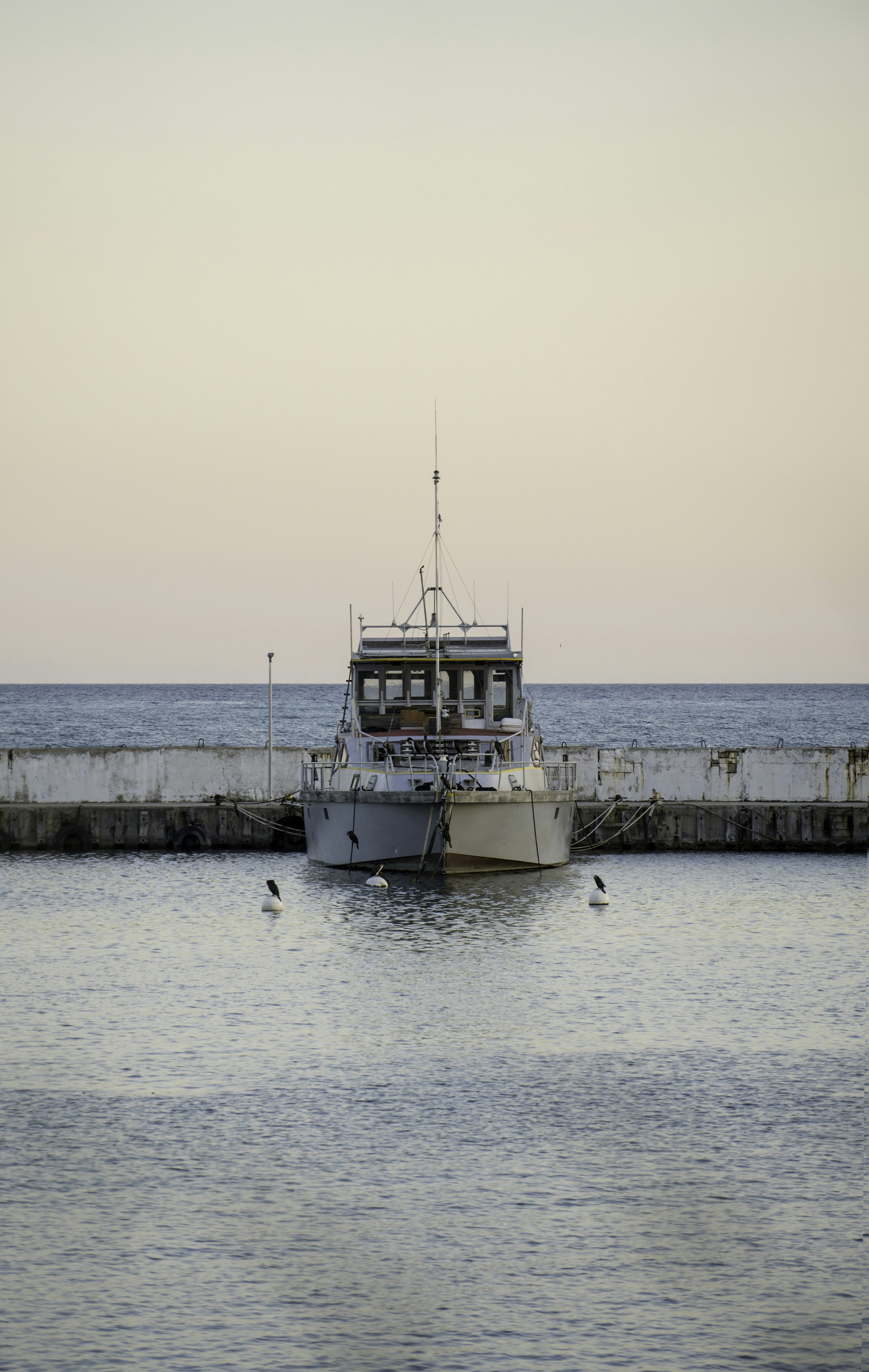 Photo by todorandonov