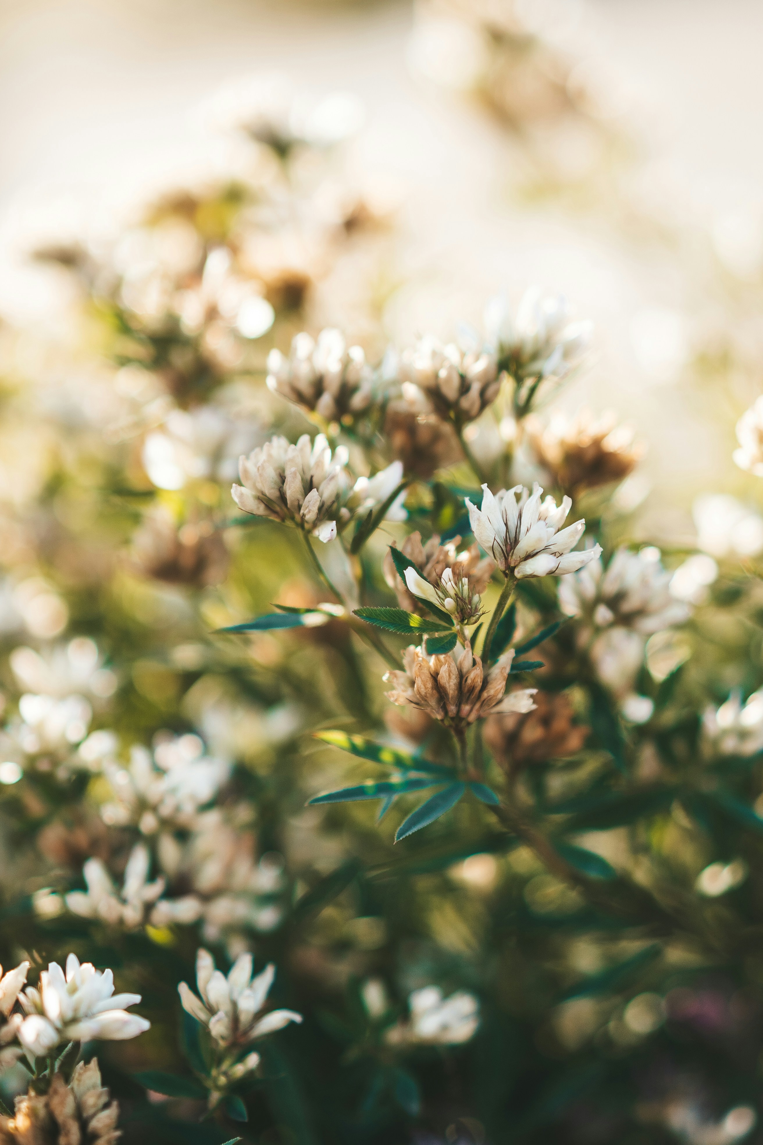 Photo by anamnesis33