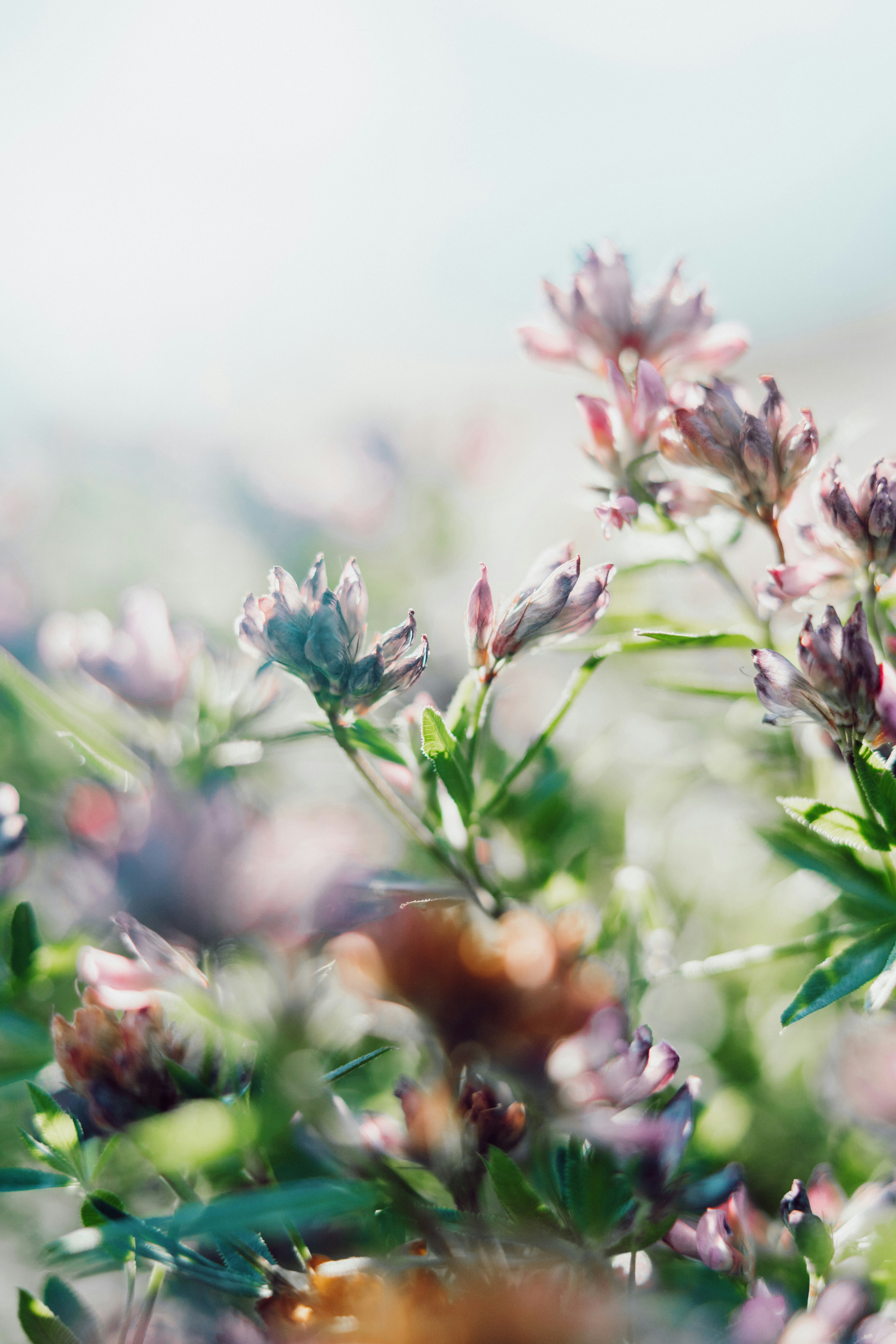 Photo by anamnesis33