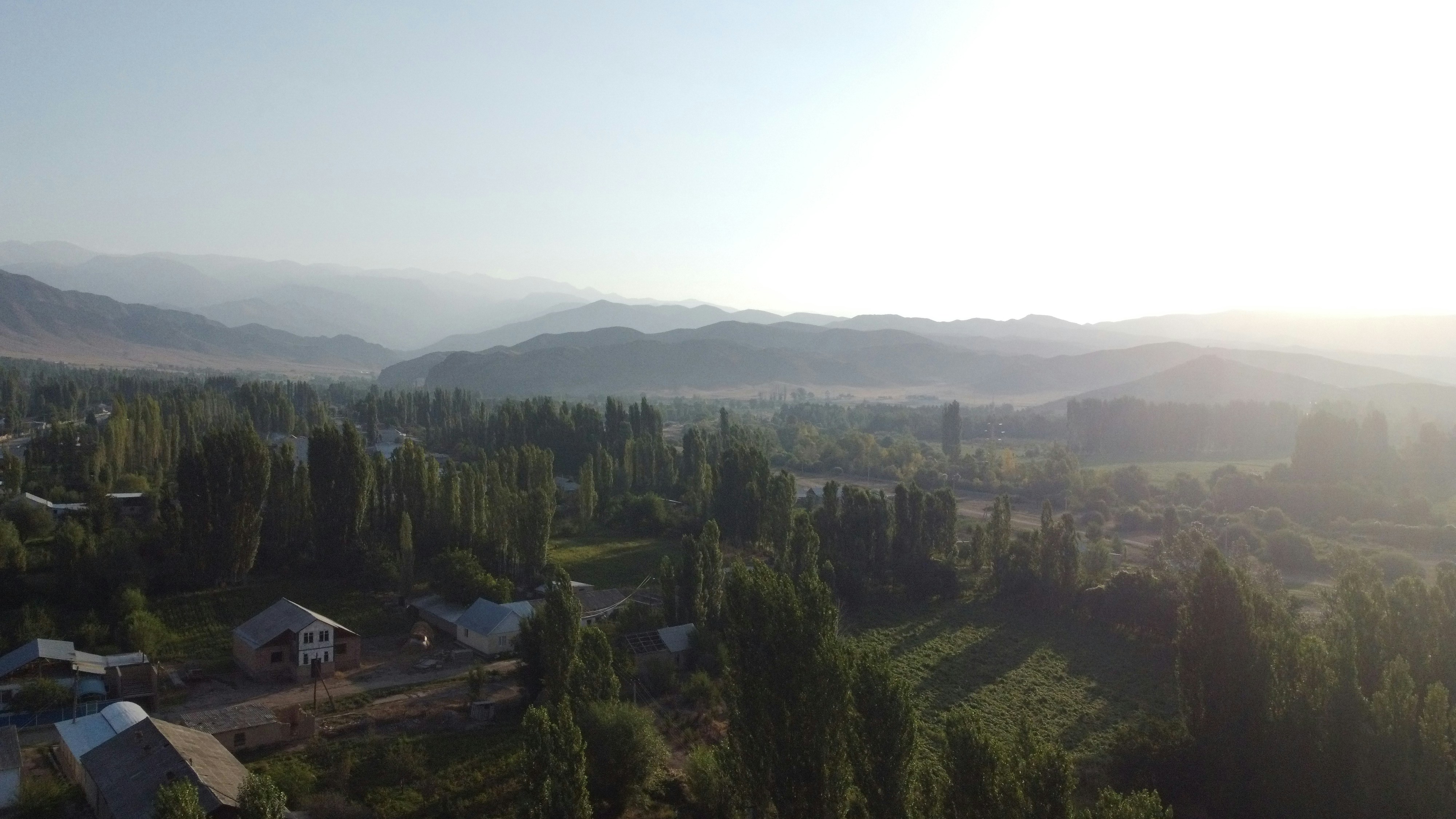 Un paysage brumeux avec des arbres et des bâtiments.