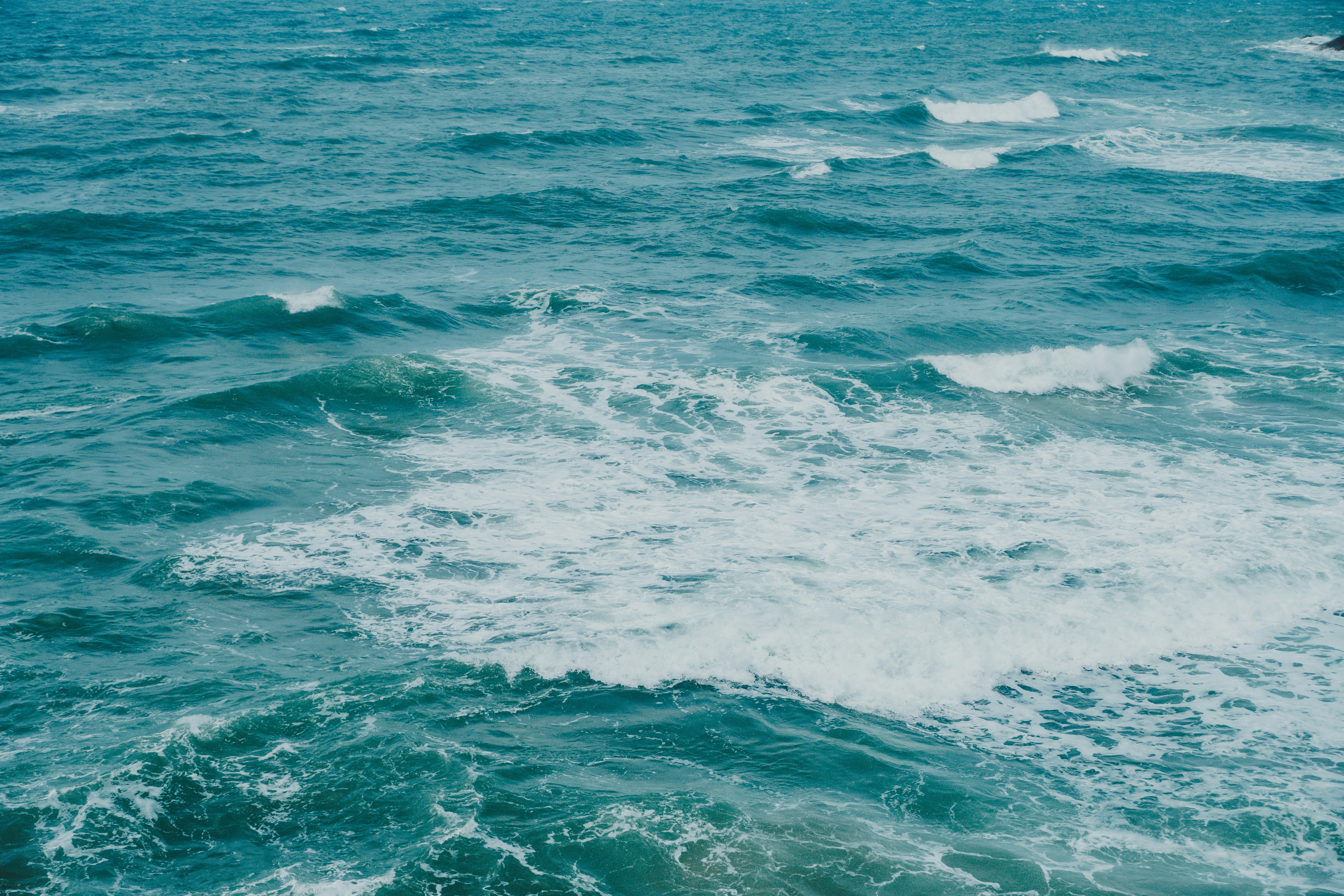 Photo by jaydinh1296