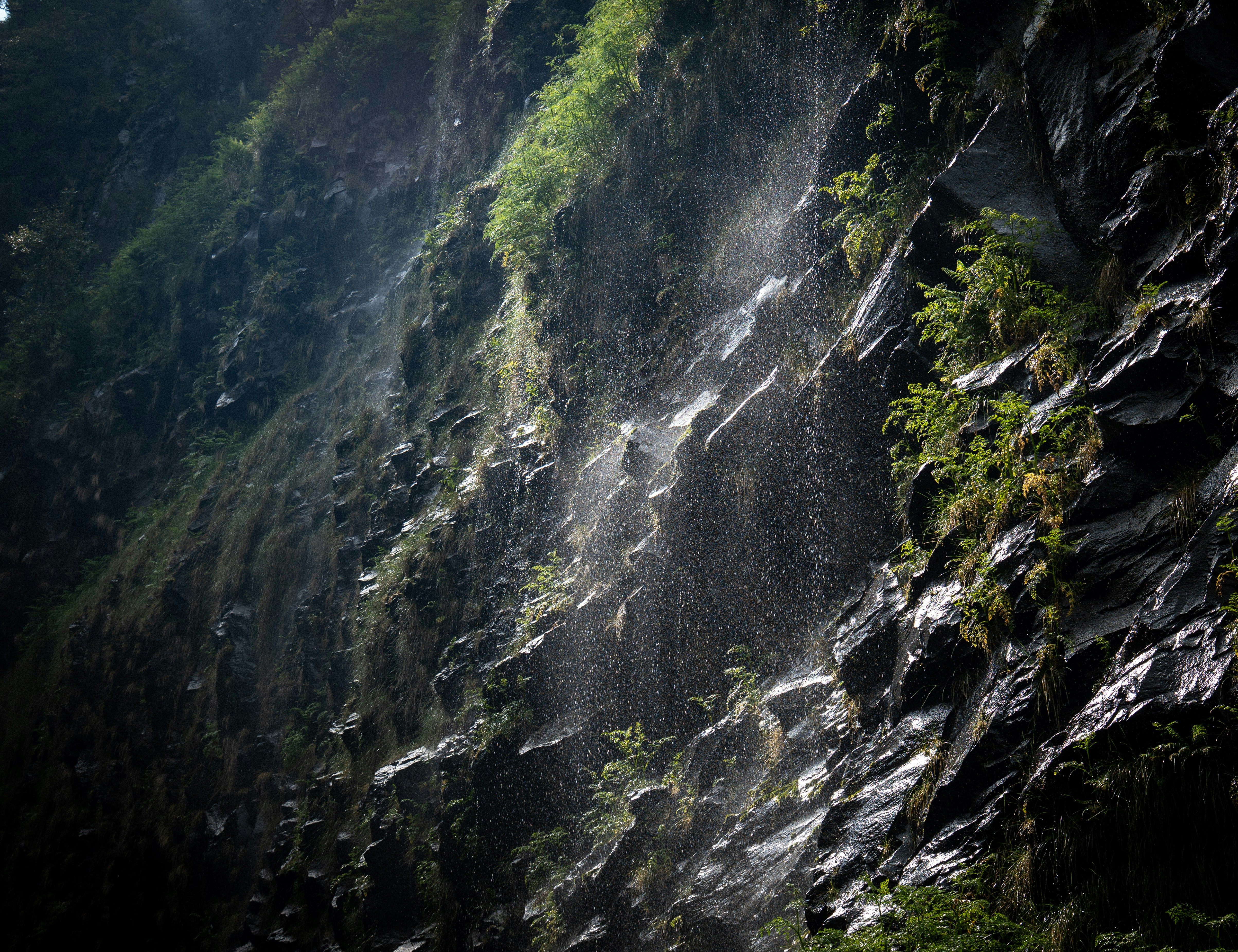 Photo by tommycornilleau