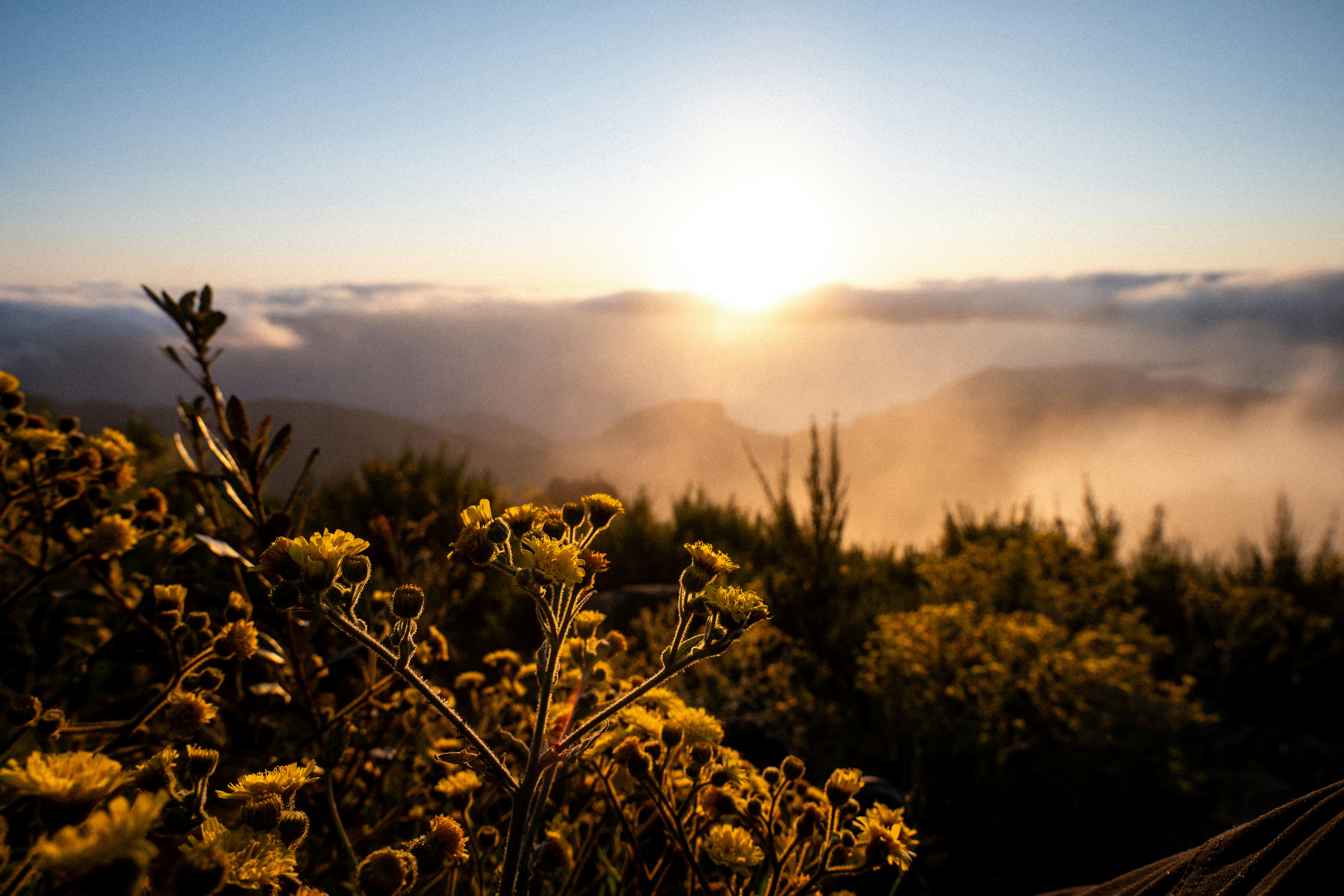 Photo by tommycornilleau