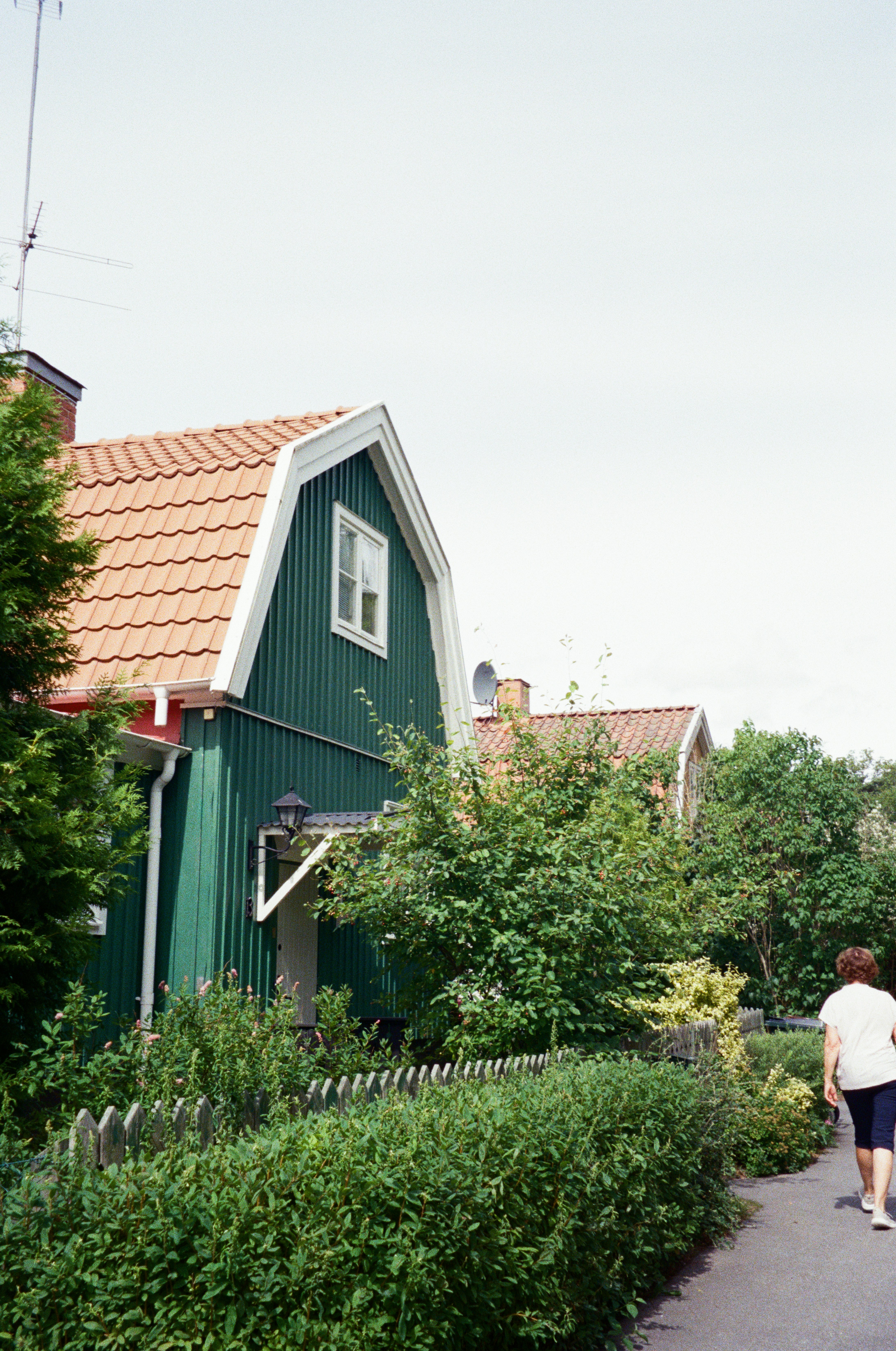 Photo by anniespratt