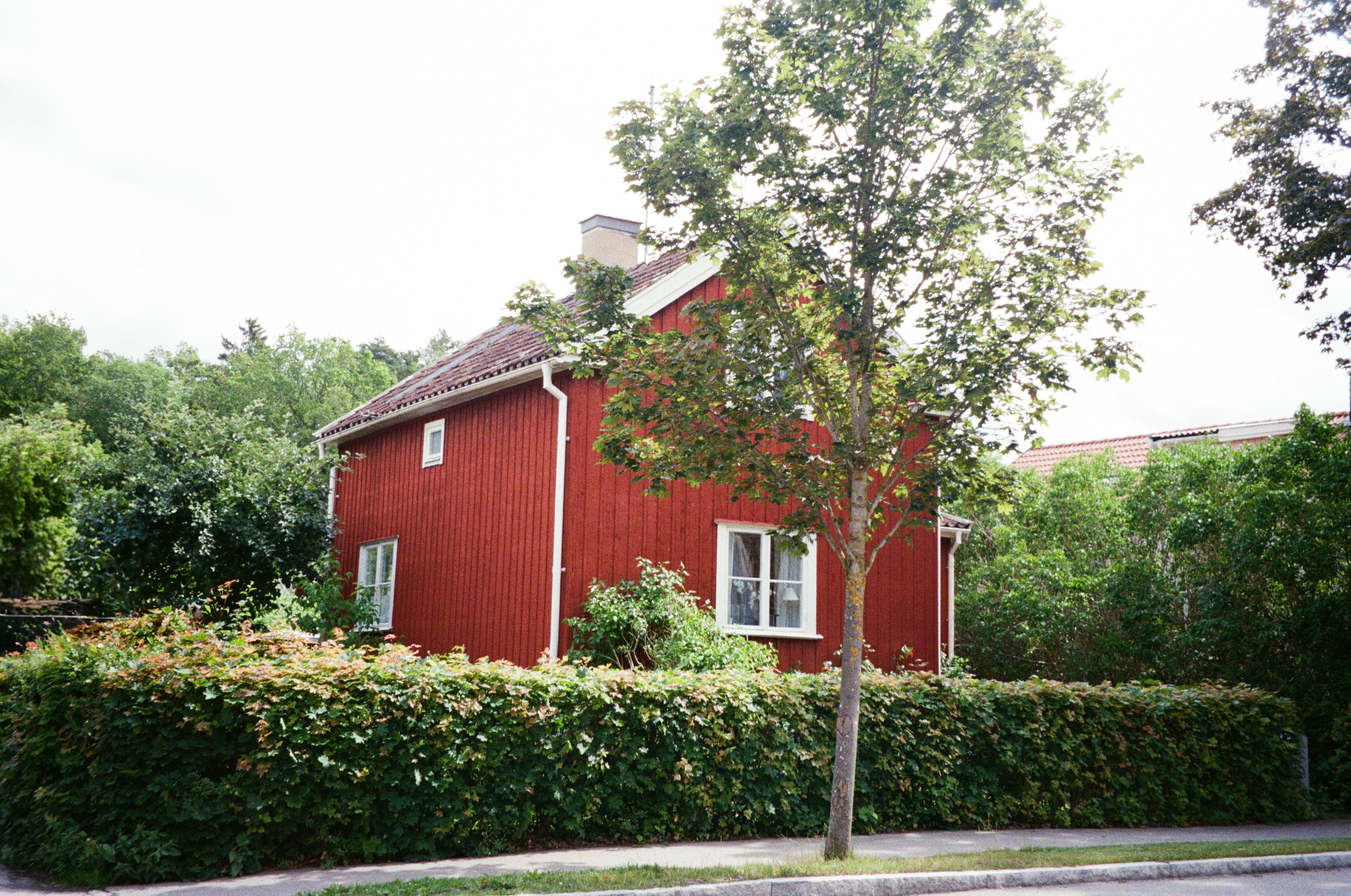 Photo by anniespratt