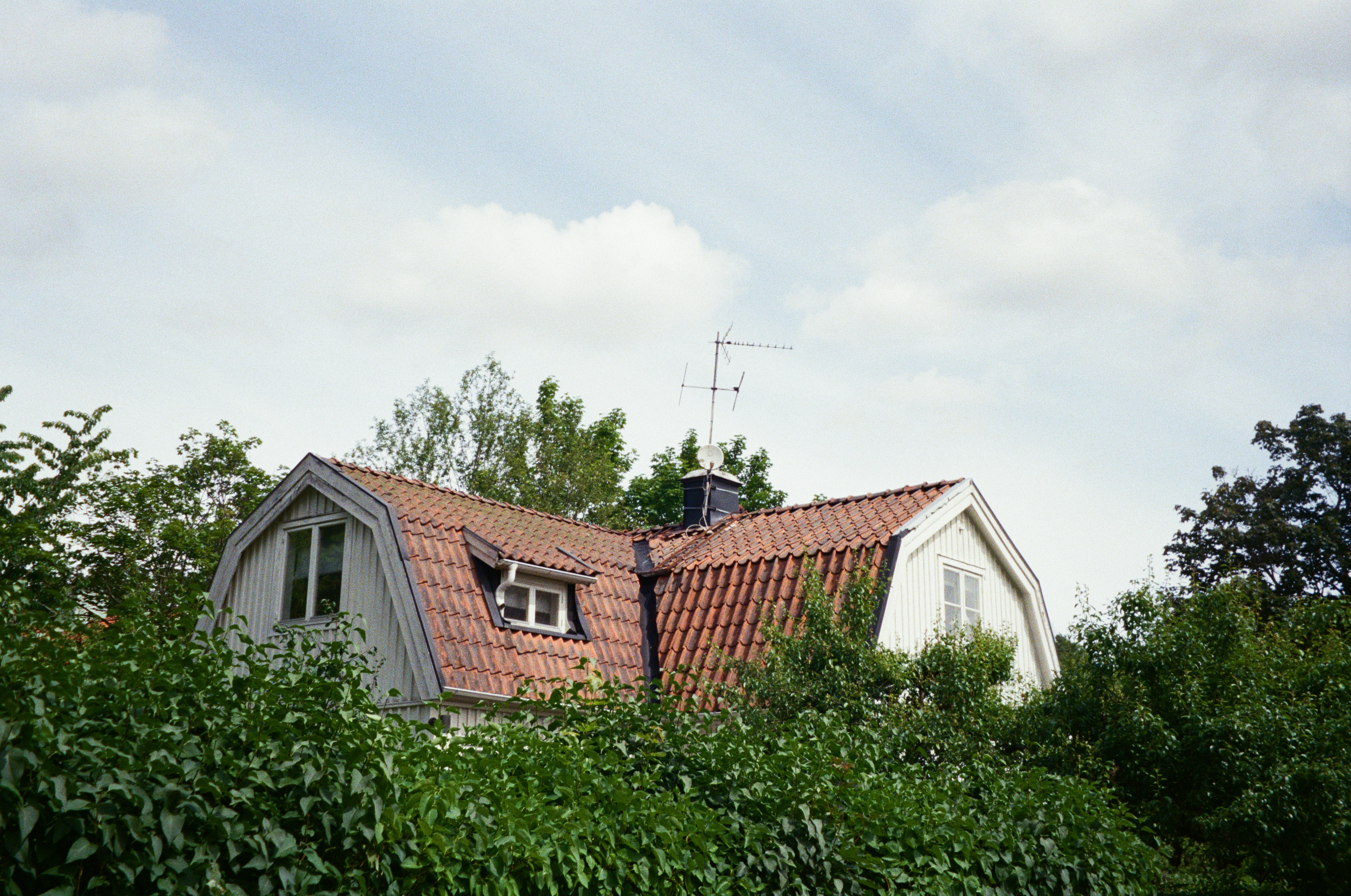 A house is partially obscured by trees and bushes.