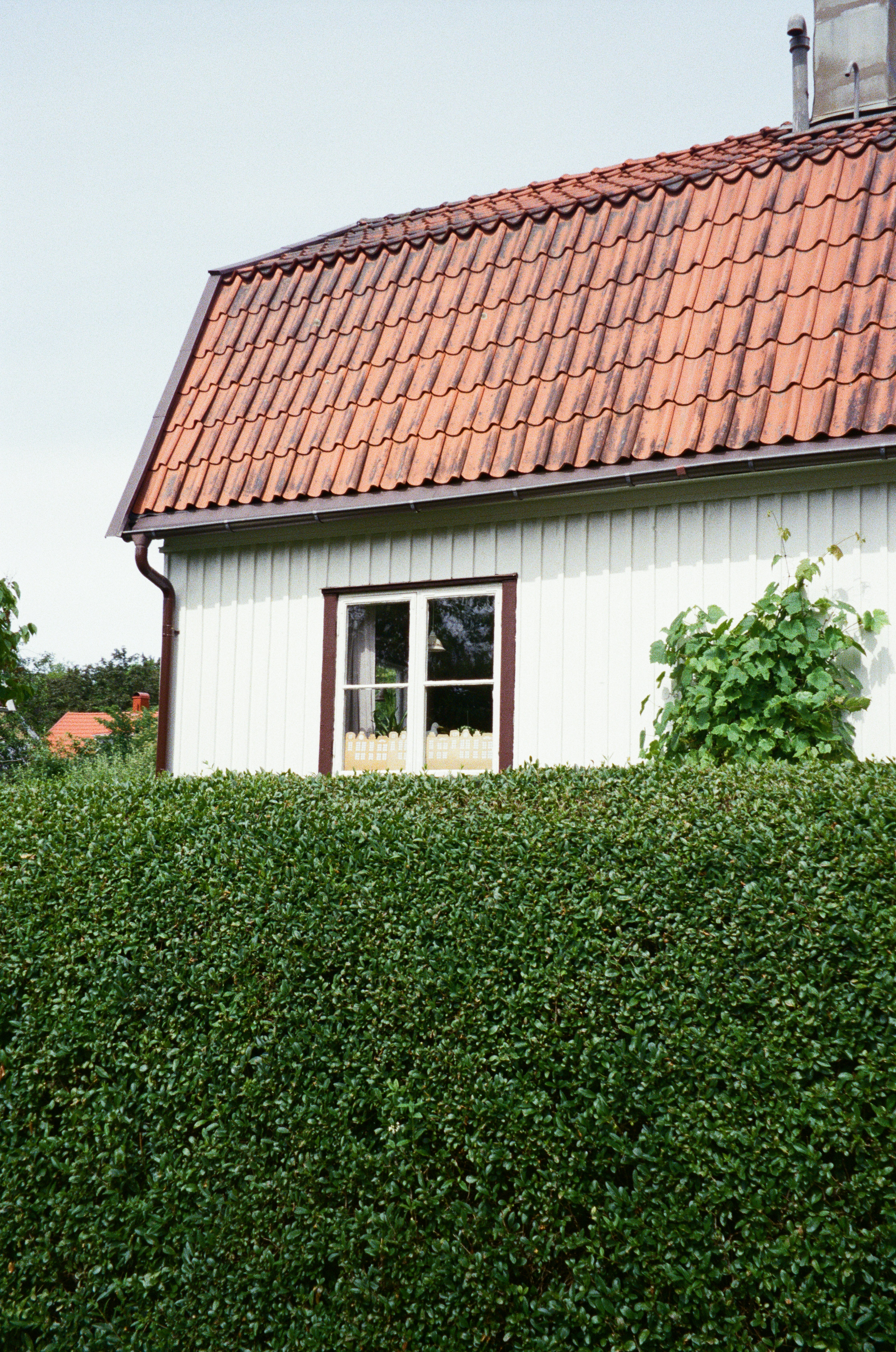 A house is partially obscured by a green hedge.