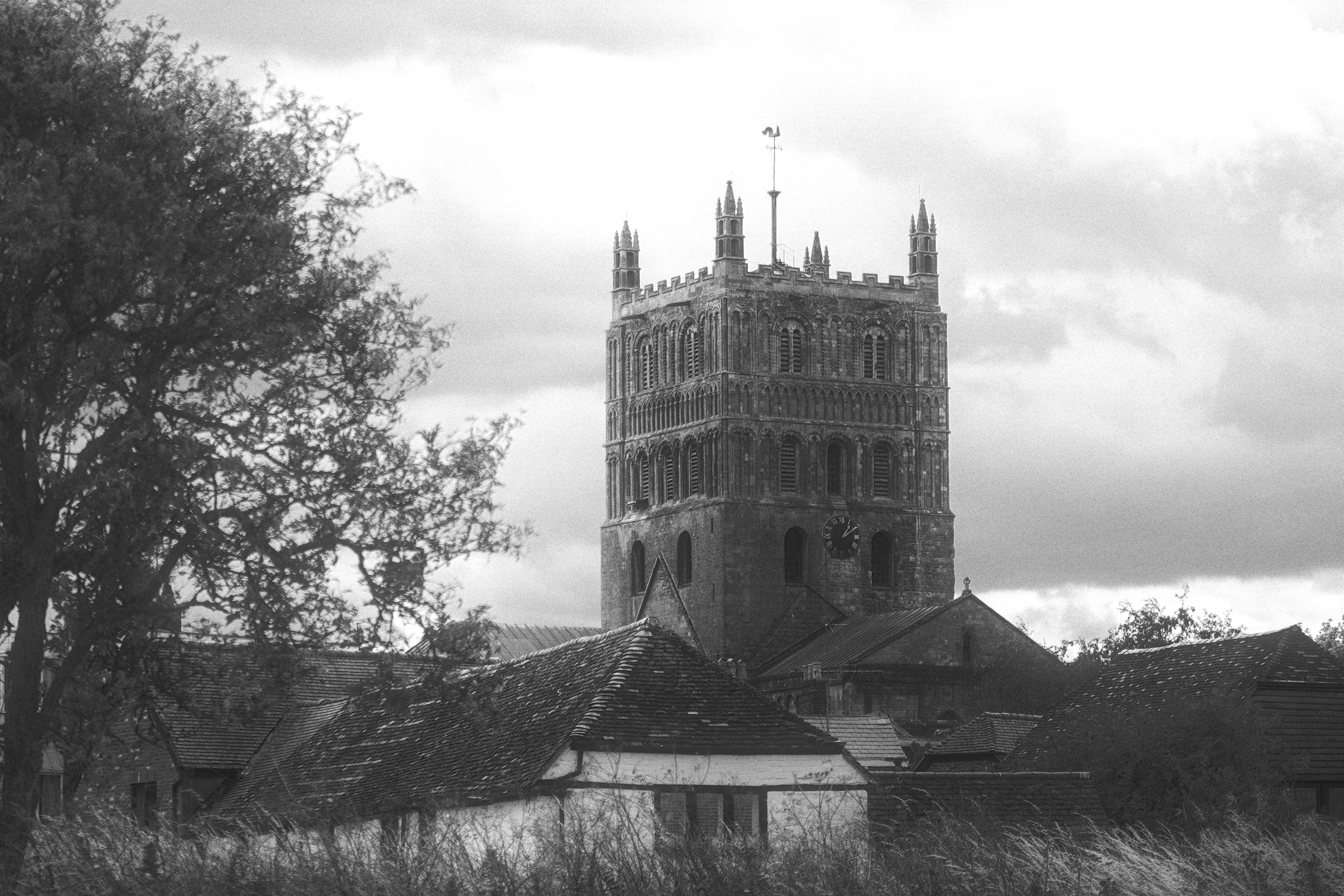 Photo by dotdavisphotography