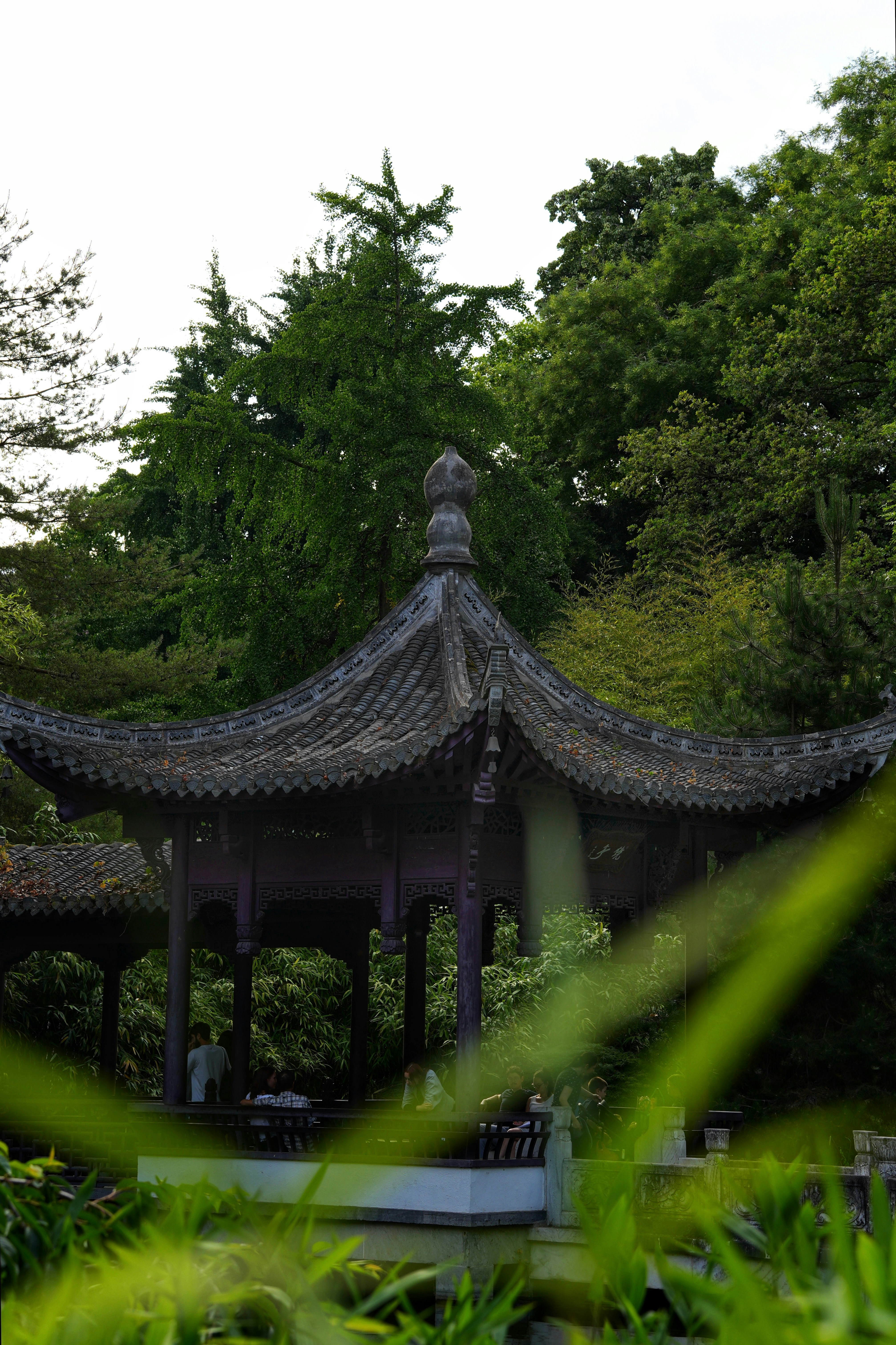 Photo by danielstolz