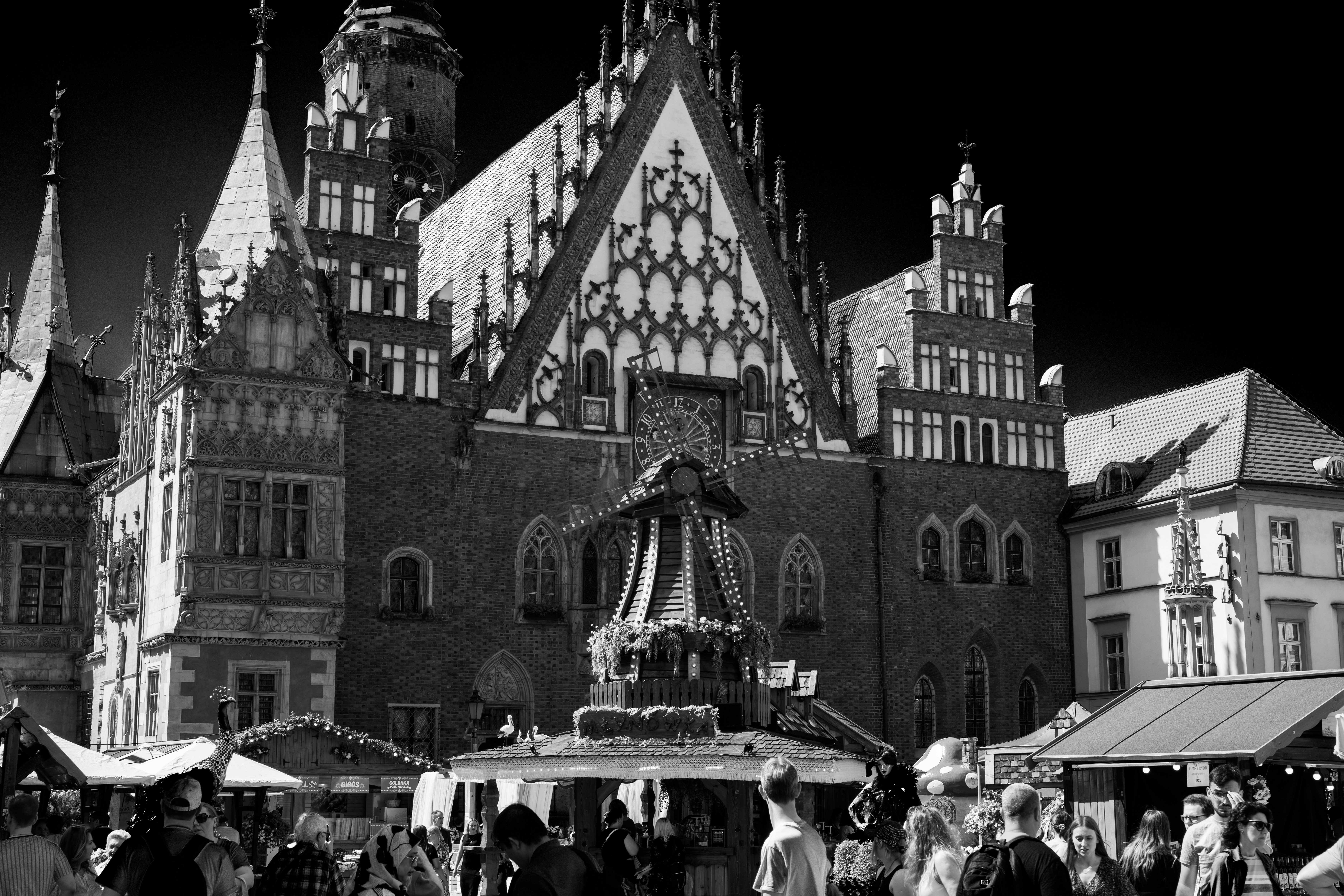 Image by Sam Szuchan via Unsplash