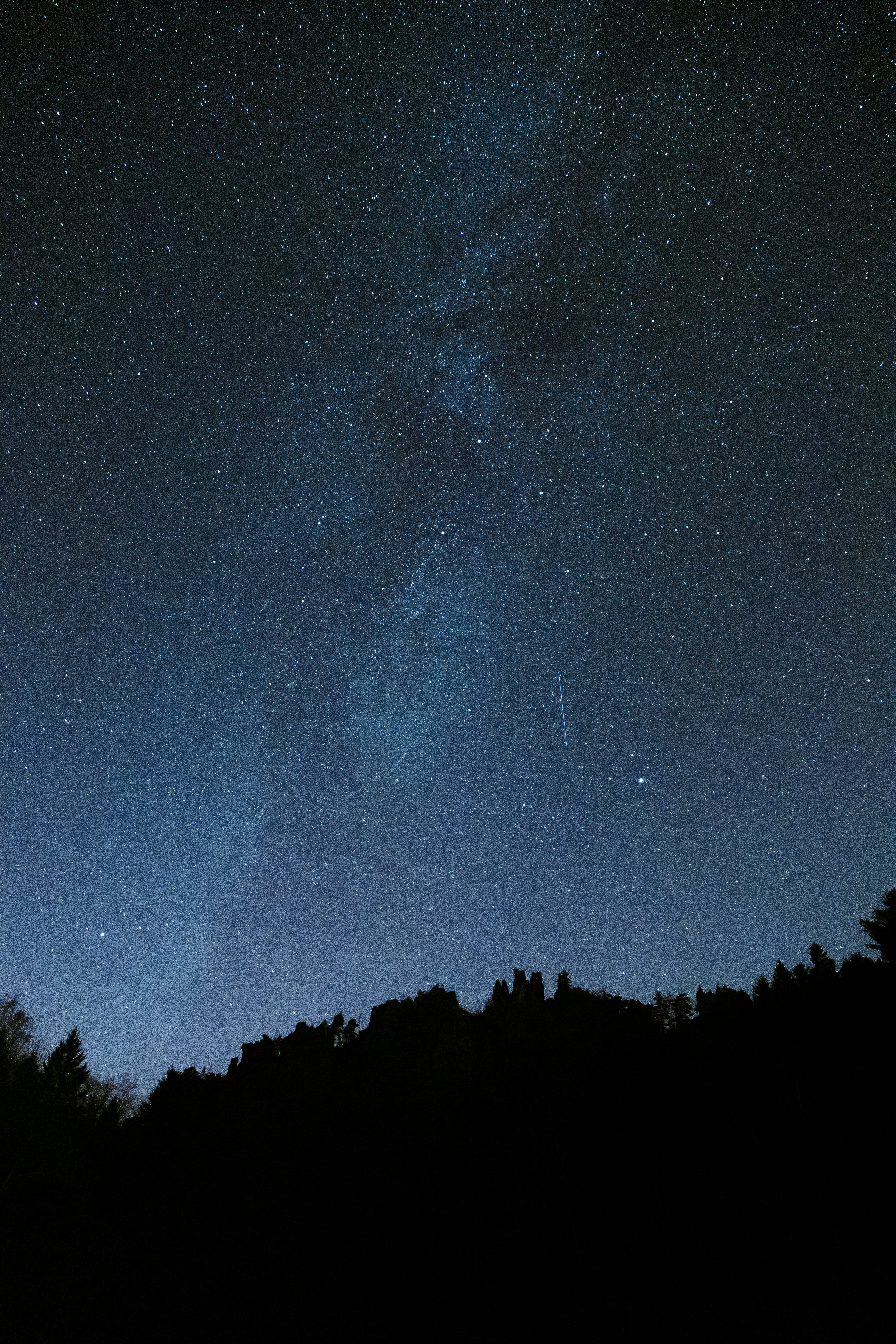 The milky way shines over a dark forest.