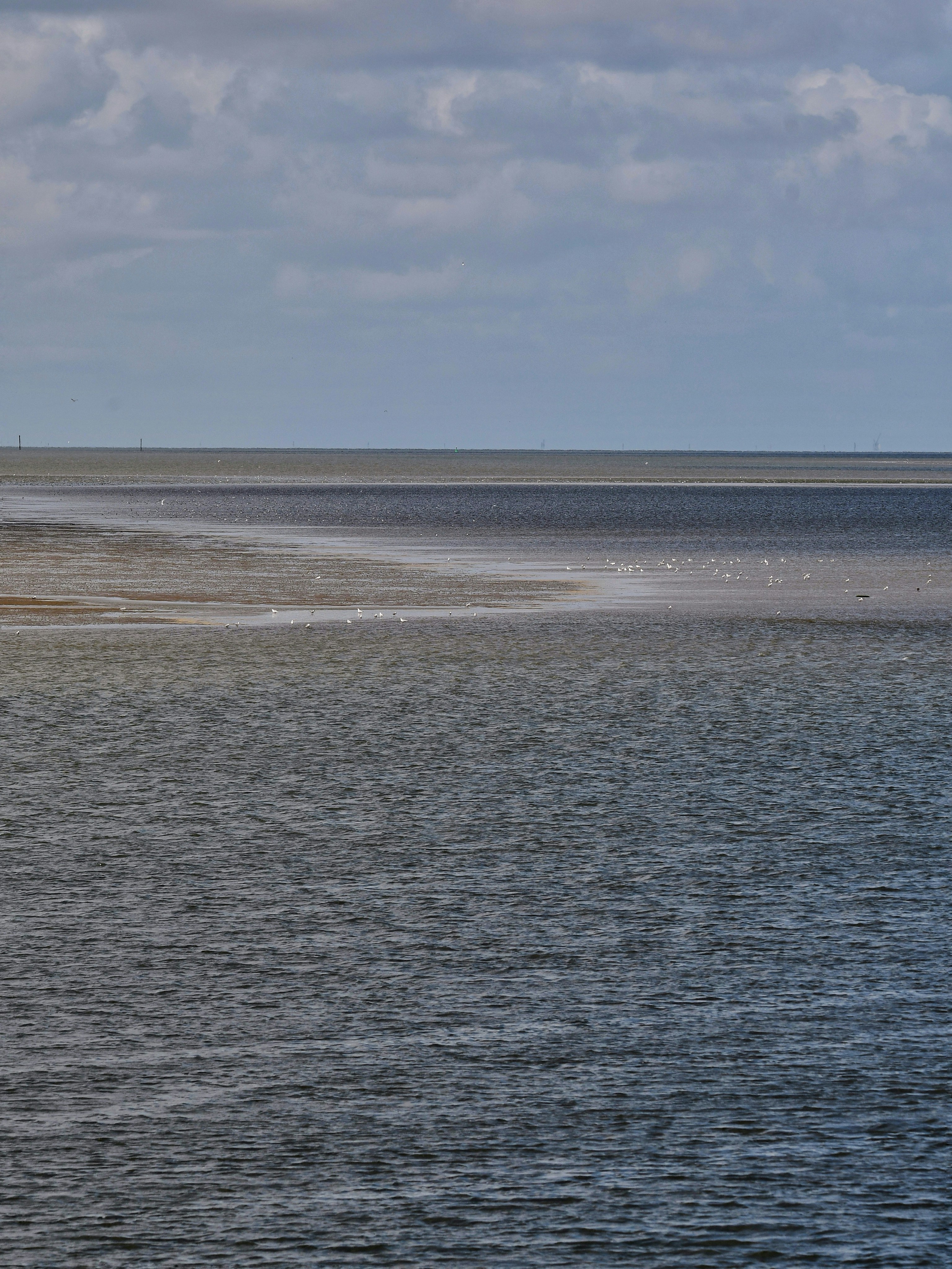 Photo by pedrino5_official