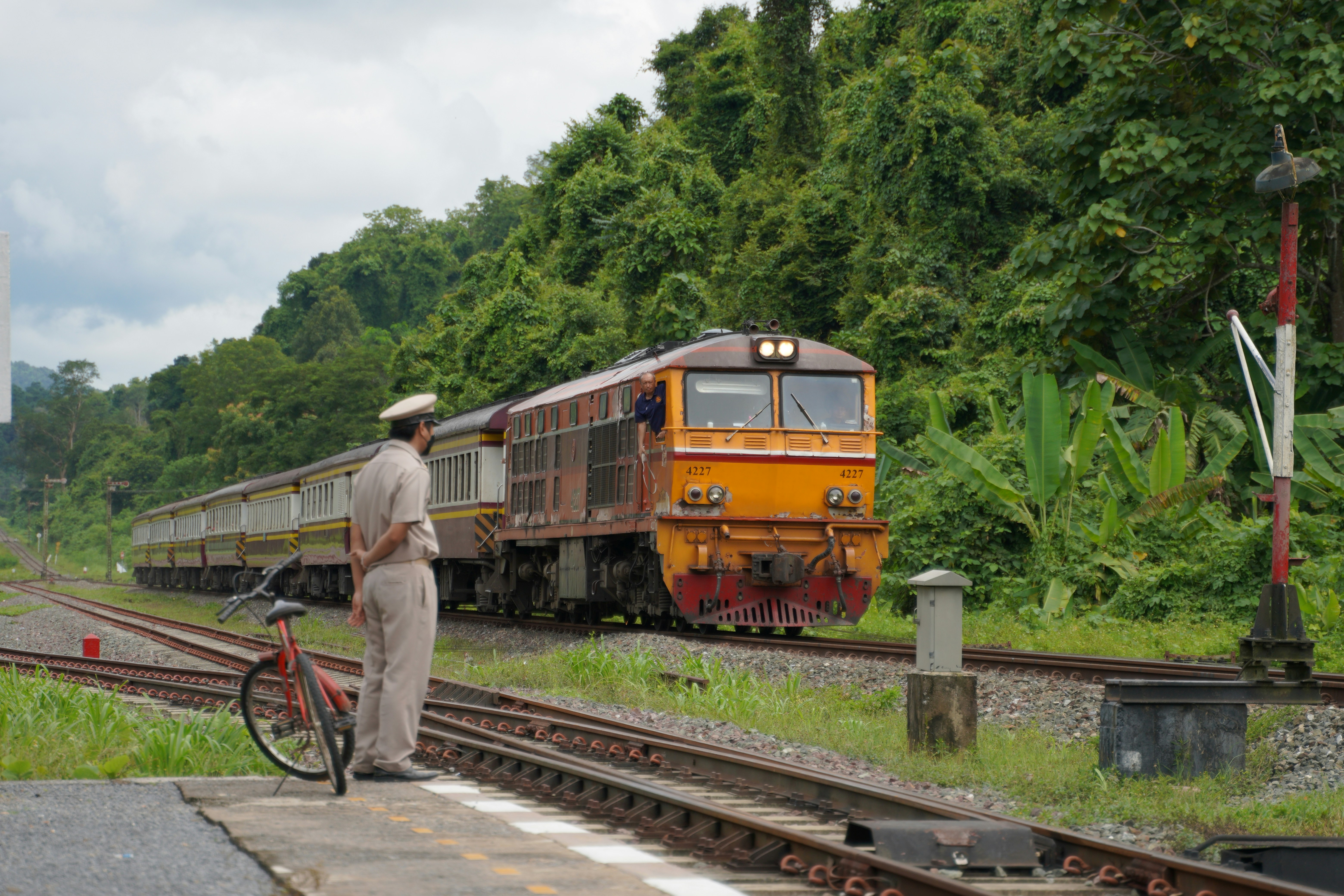 Wok Express Delivery Menu