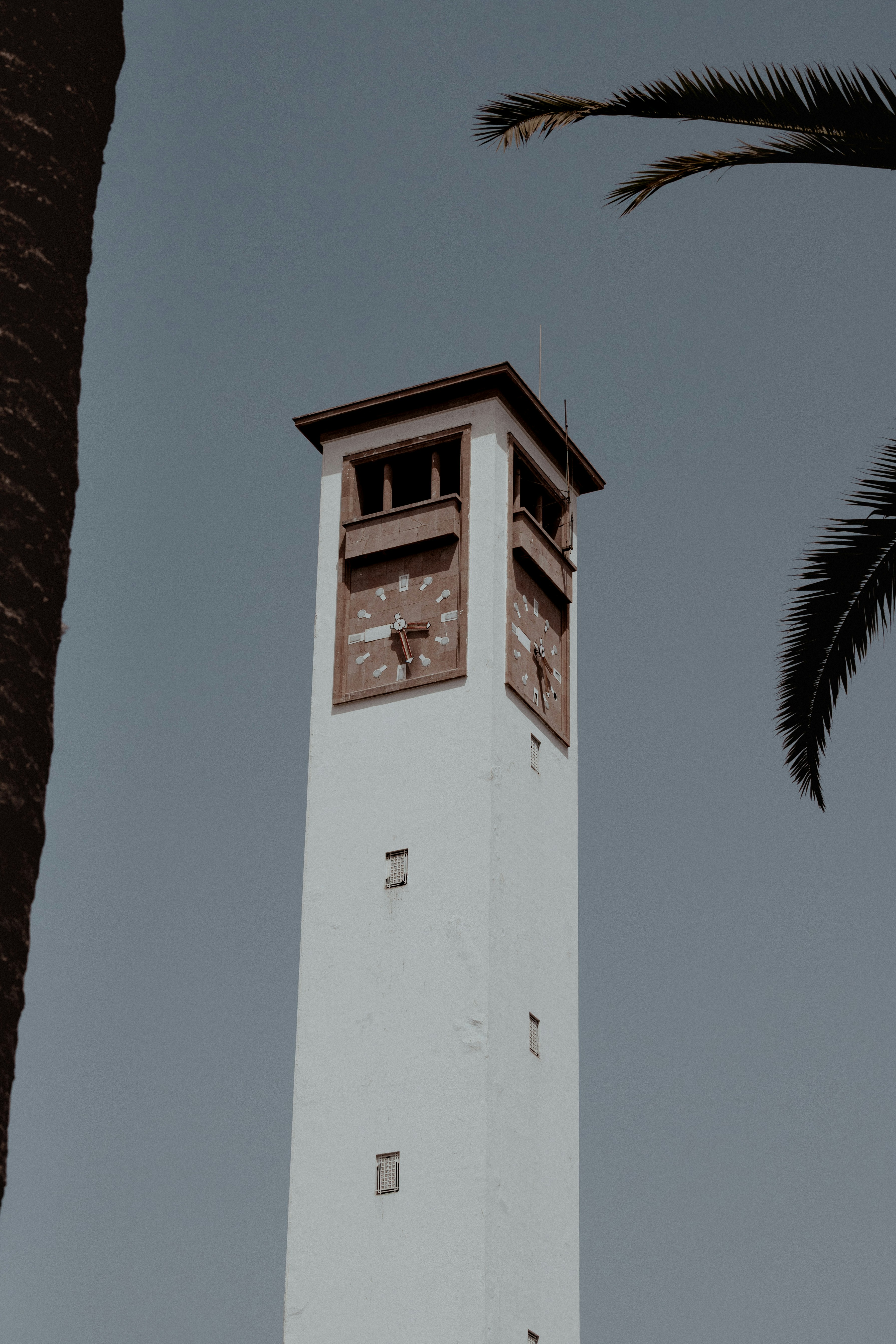 A tall clock tower with palm trees.