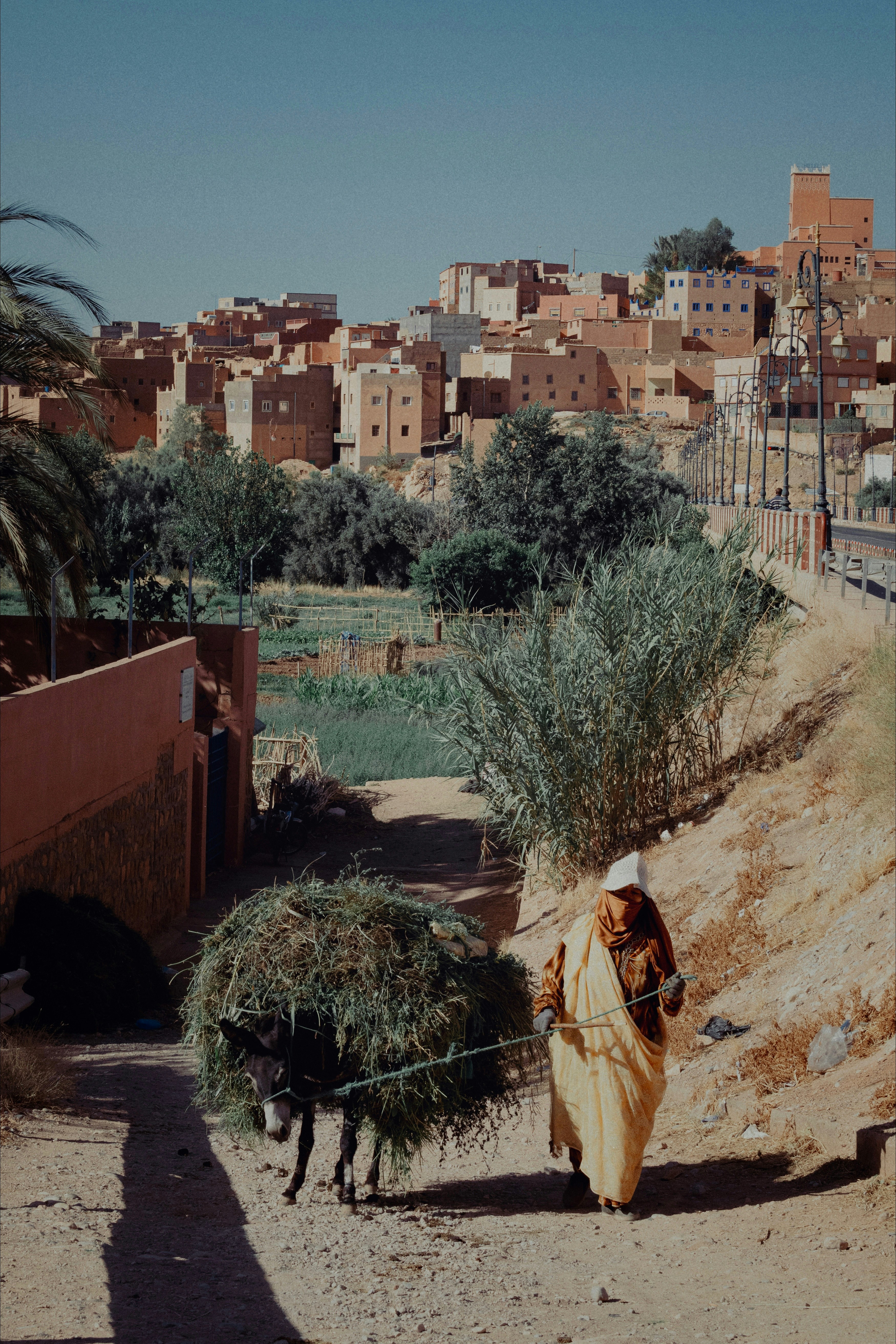 A person leads a donkey through a village.