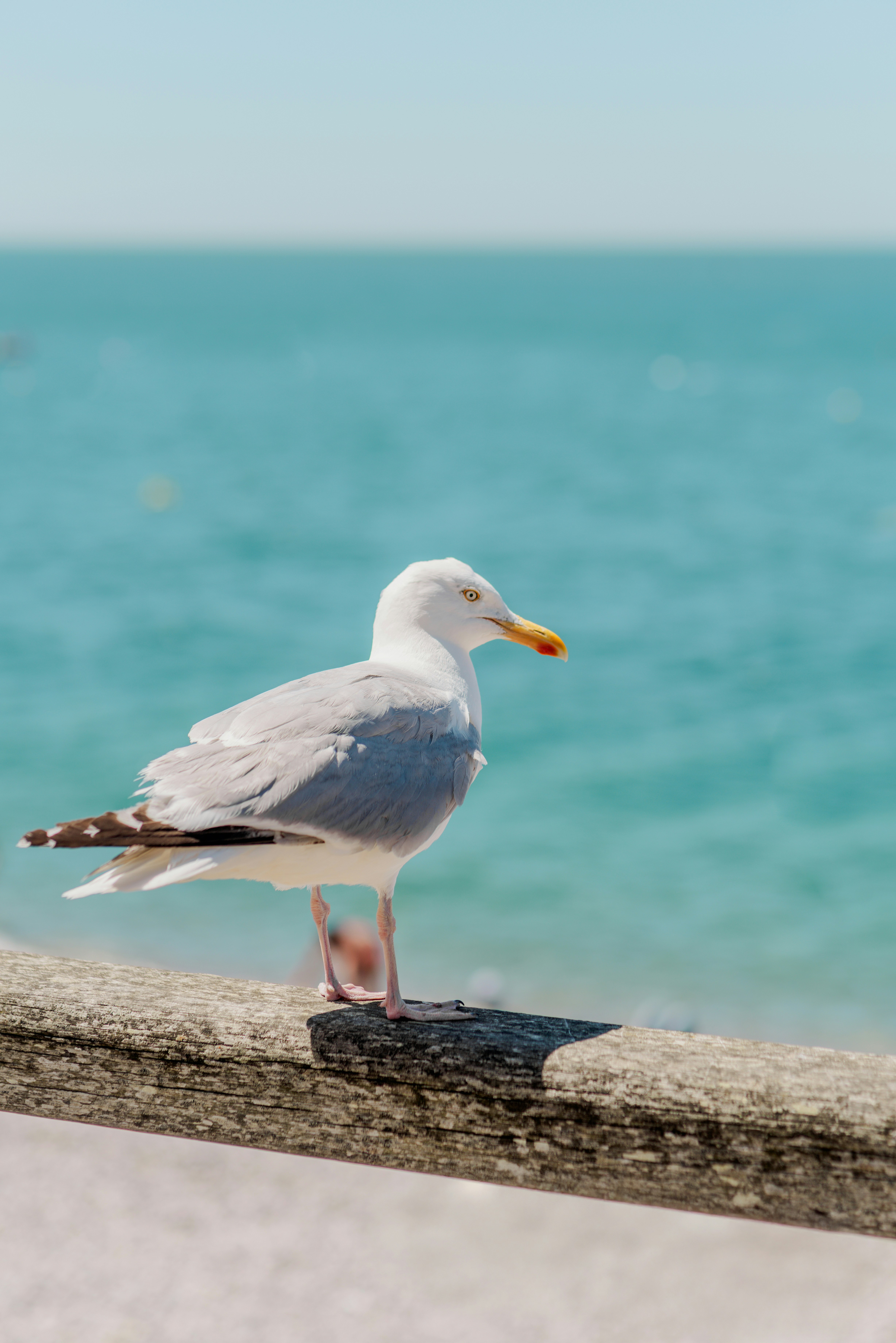 Photo by eugenivy_now