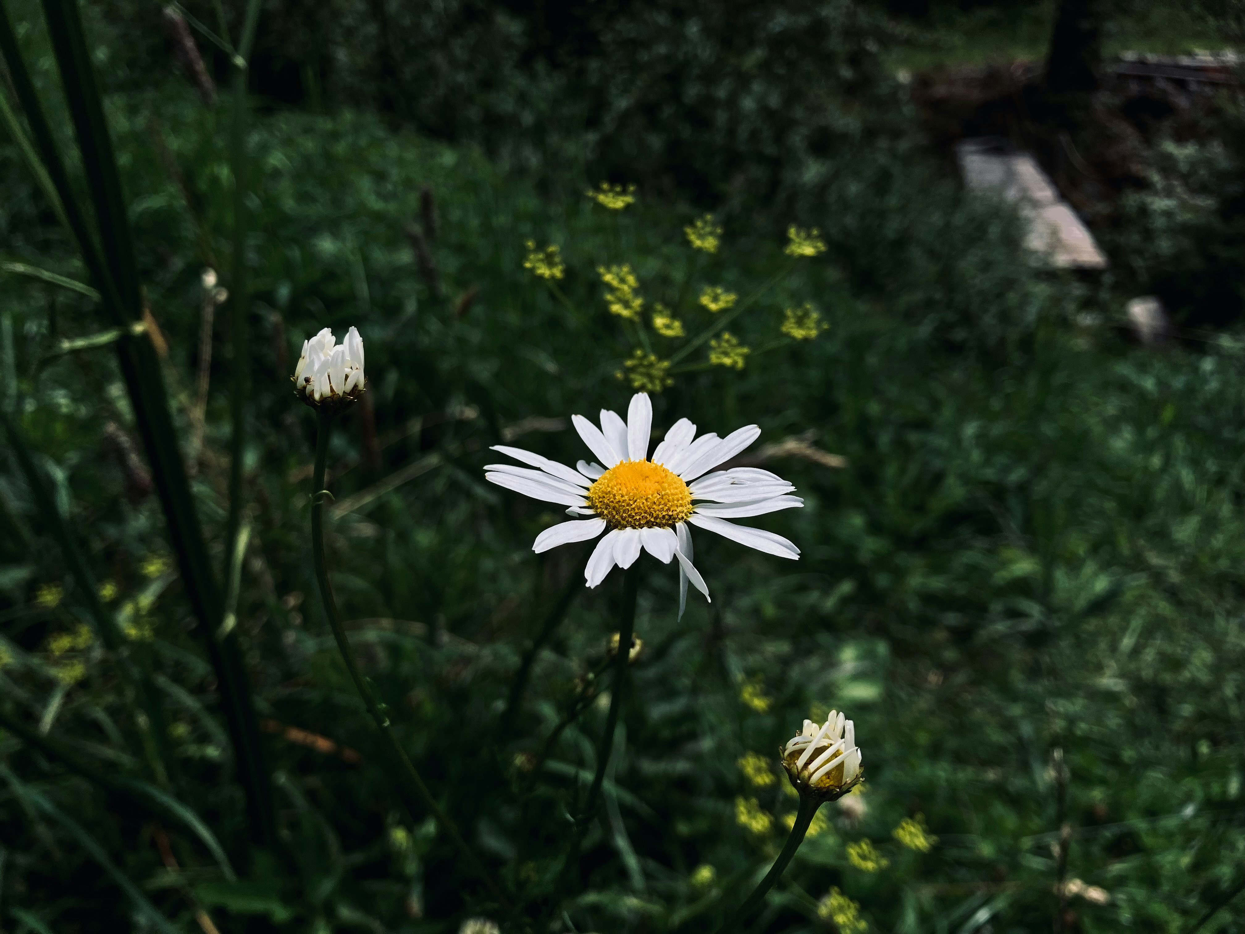 Photo by logicmacman