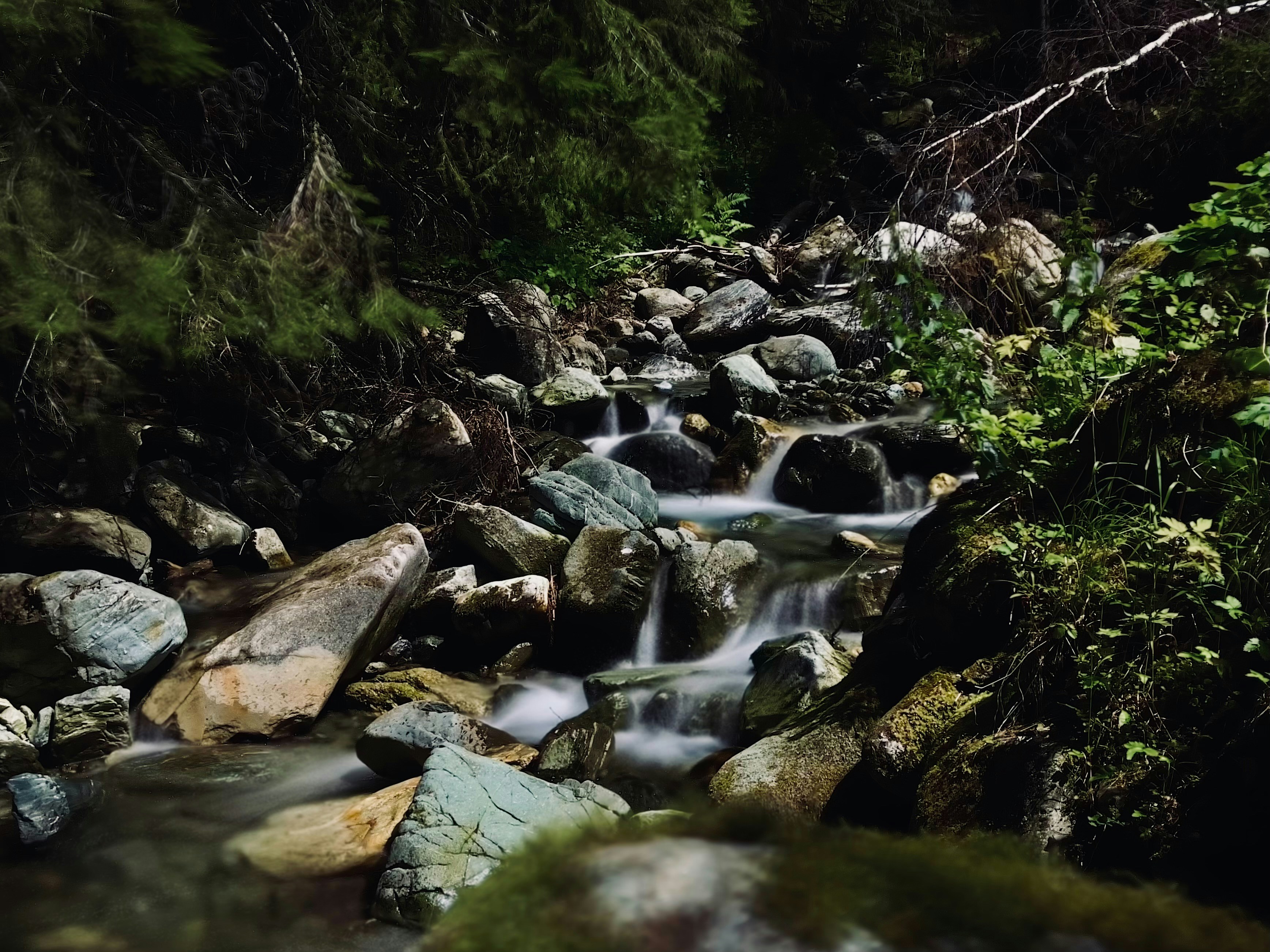 Photo by logicmacman