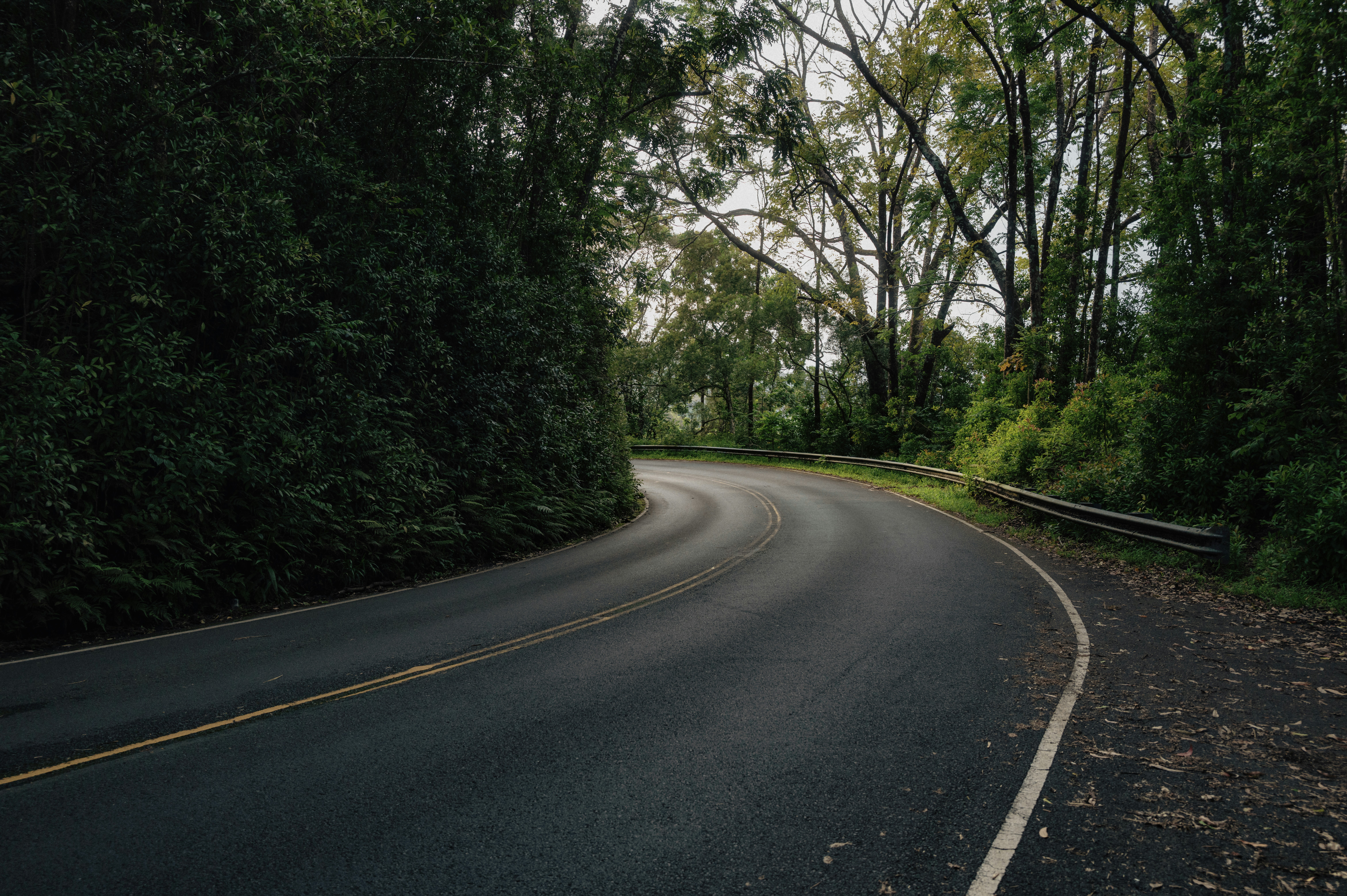 A winding road curves through a lush, green forest.