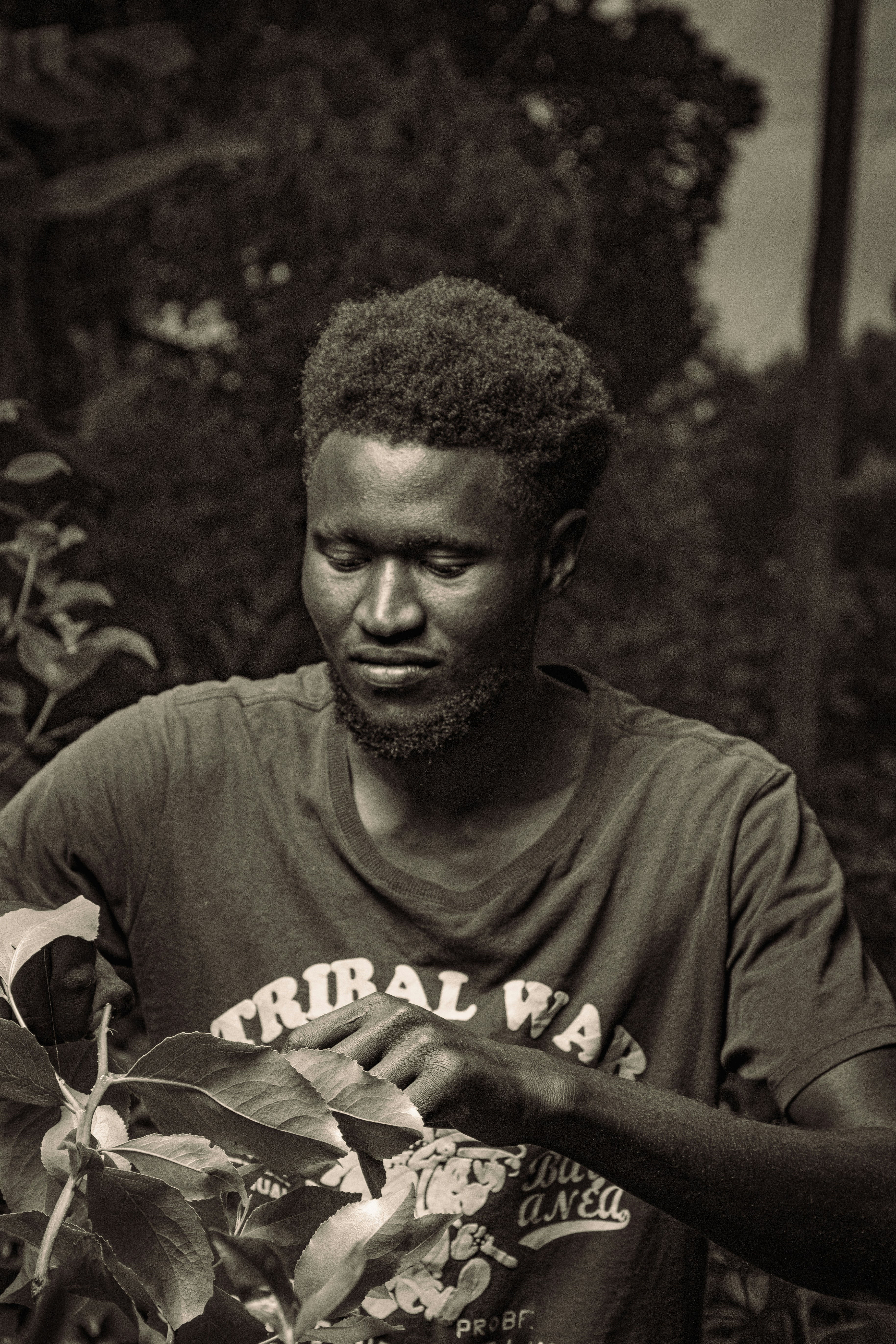 Coastal Kenya: Swahili Culture and Pristine Indian Ocean Shores