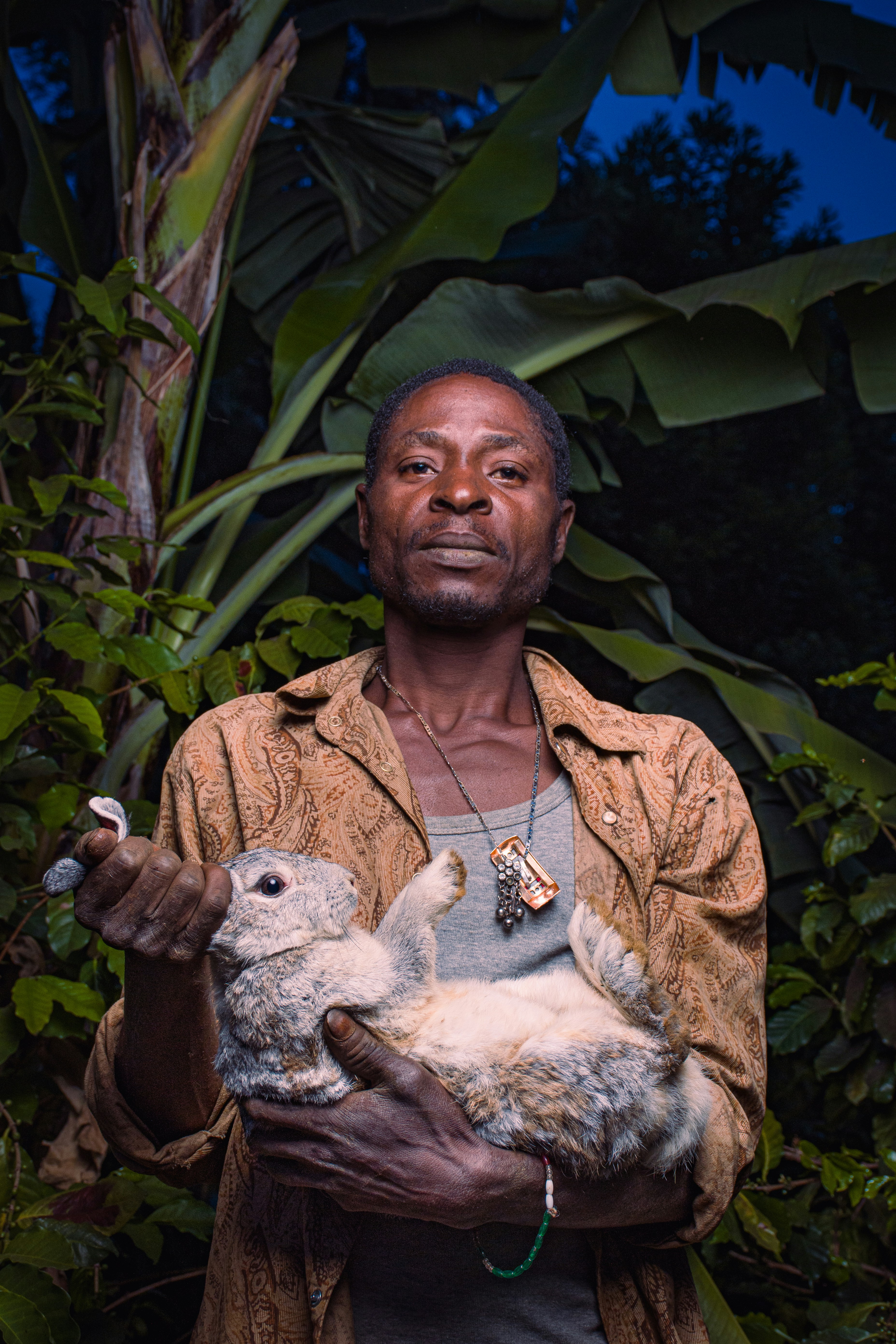 The Masai Mara and Beyond: Kenya's Premier Game Reserves