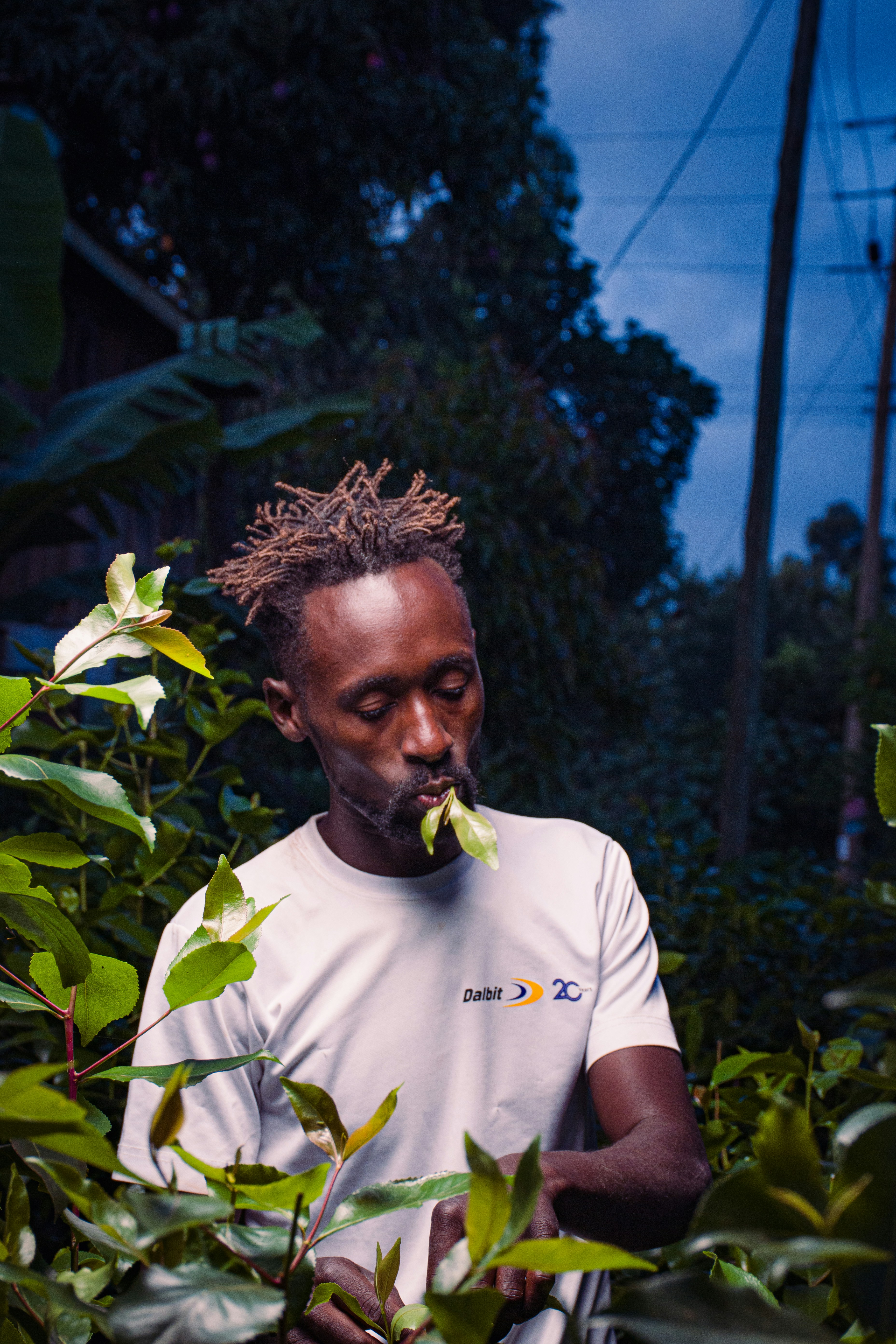 Highland Adventures: From Mount Kenya to the Great Rift Valley