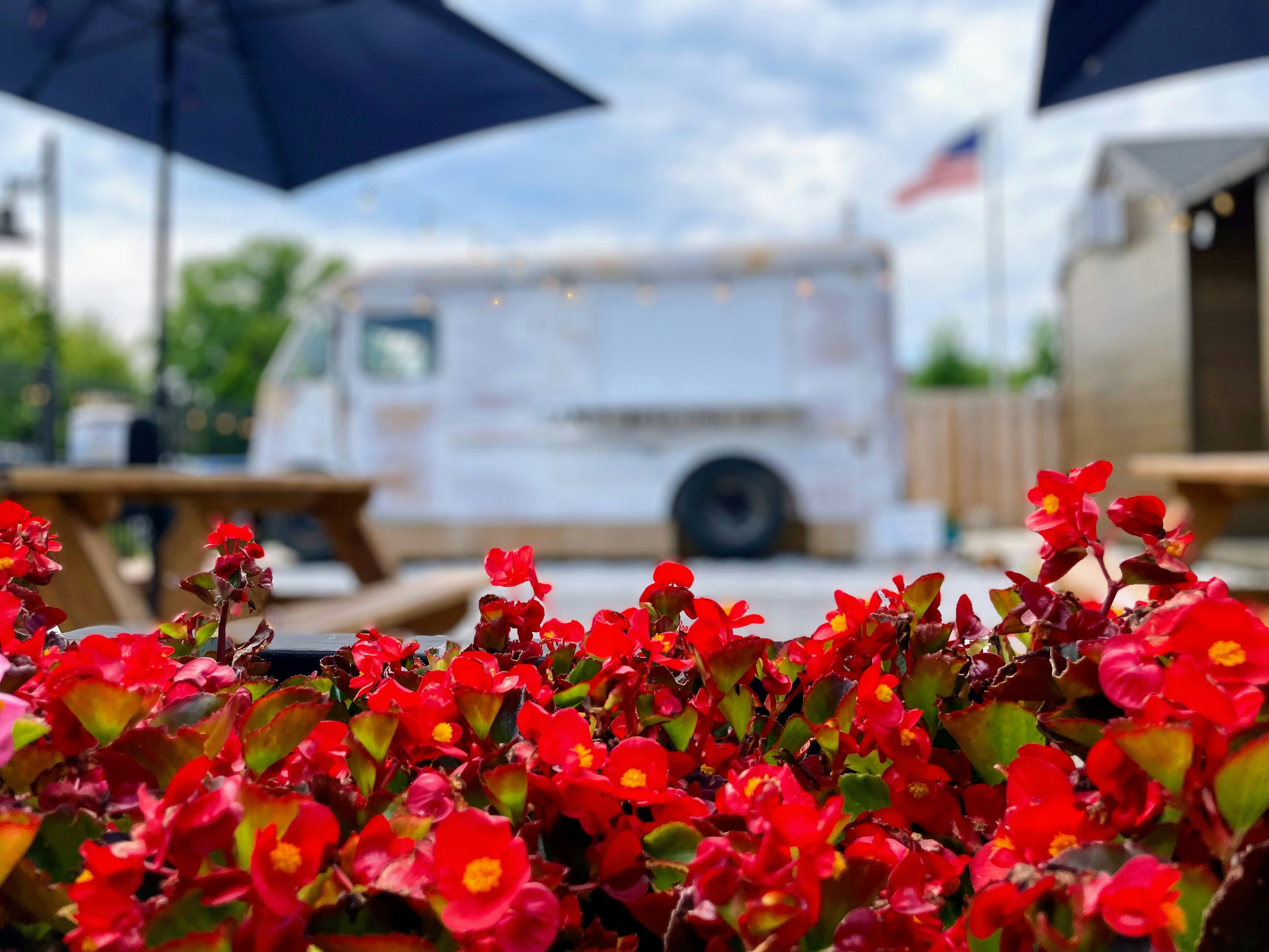 Colorful flowers spring summer, ilustrasi artikel Blooming Beauty: Stunning Floral Arrangements for Every Season 4