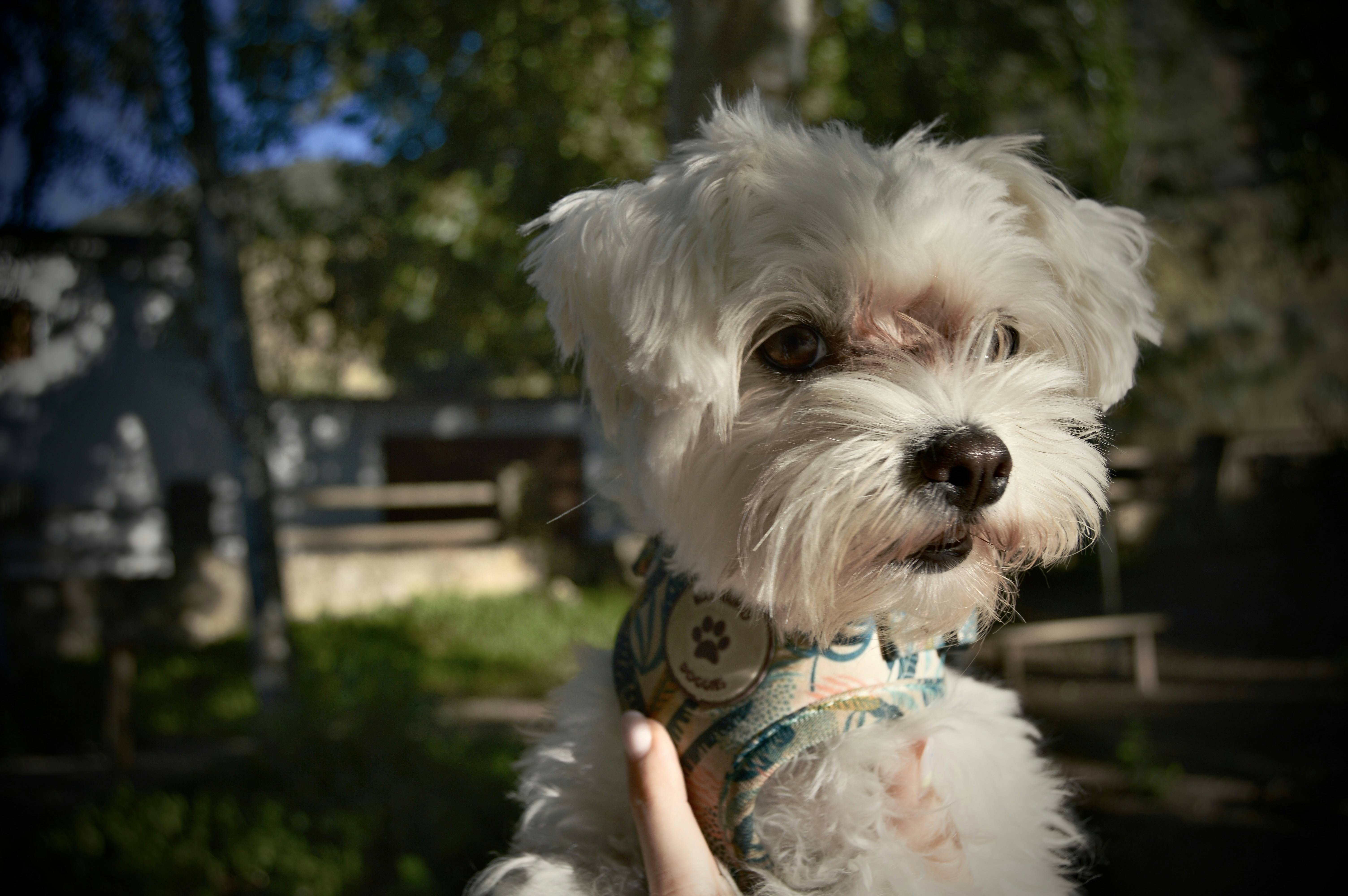 Photo by antoniozarza