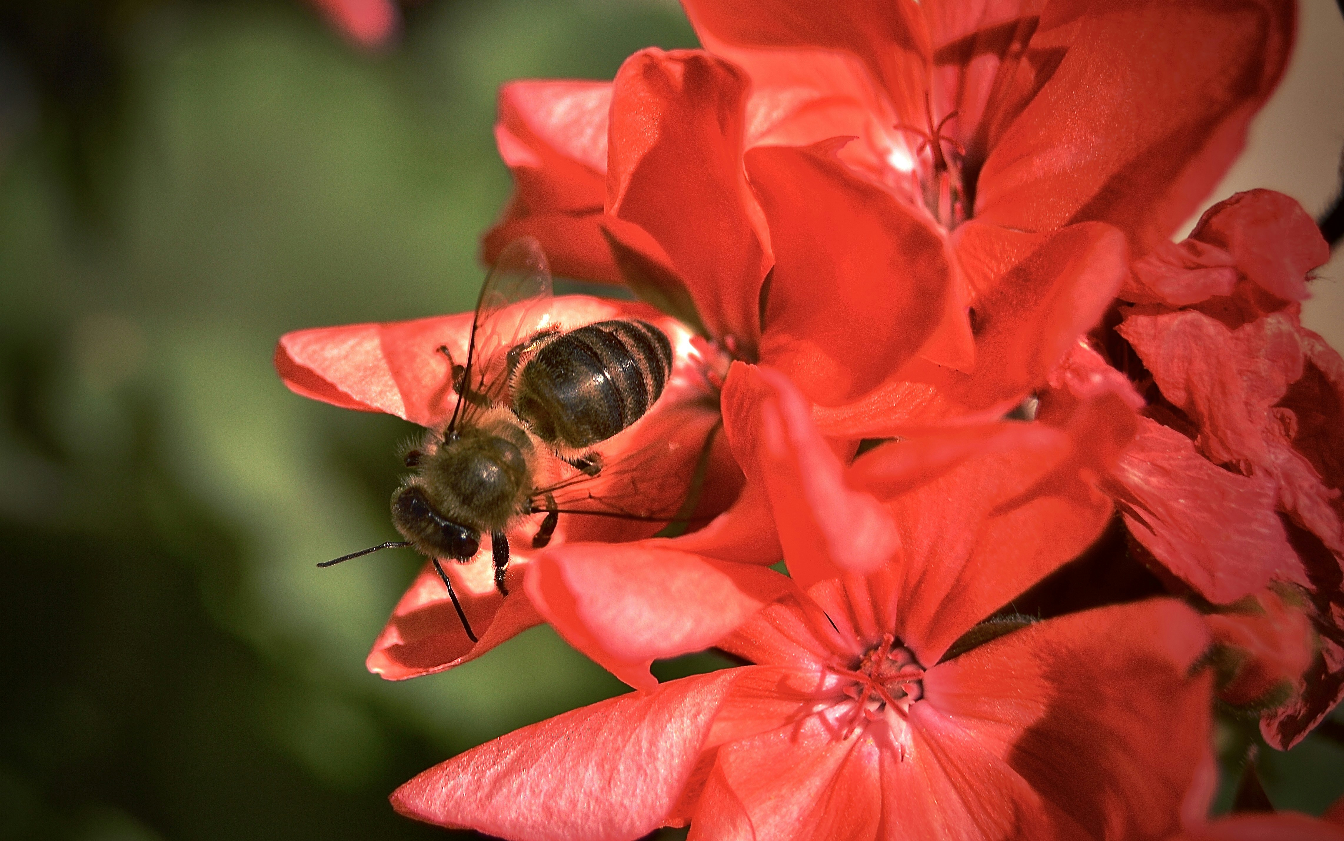 Photo by antoniozarza