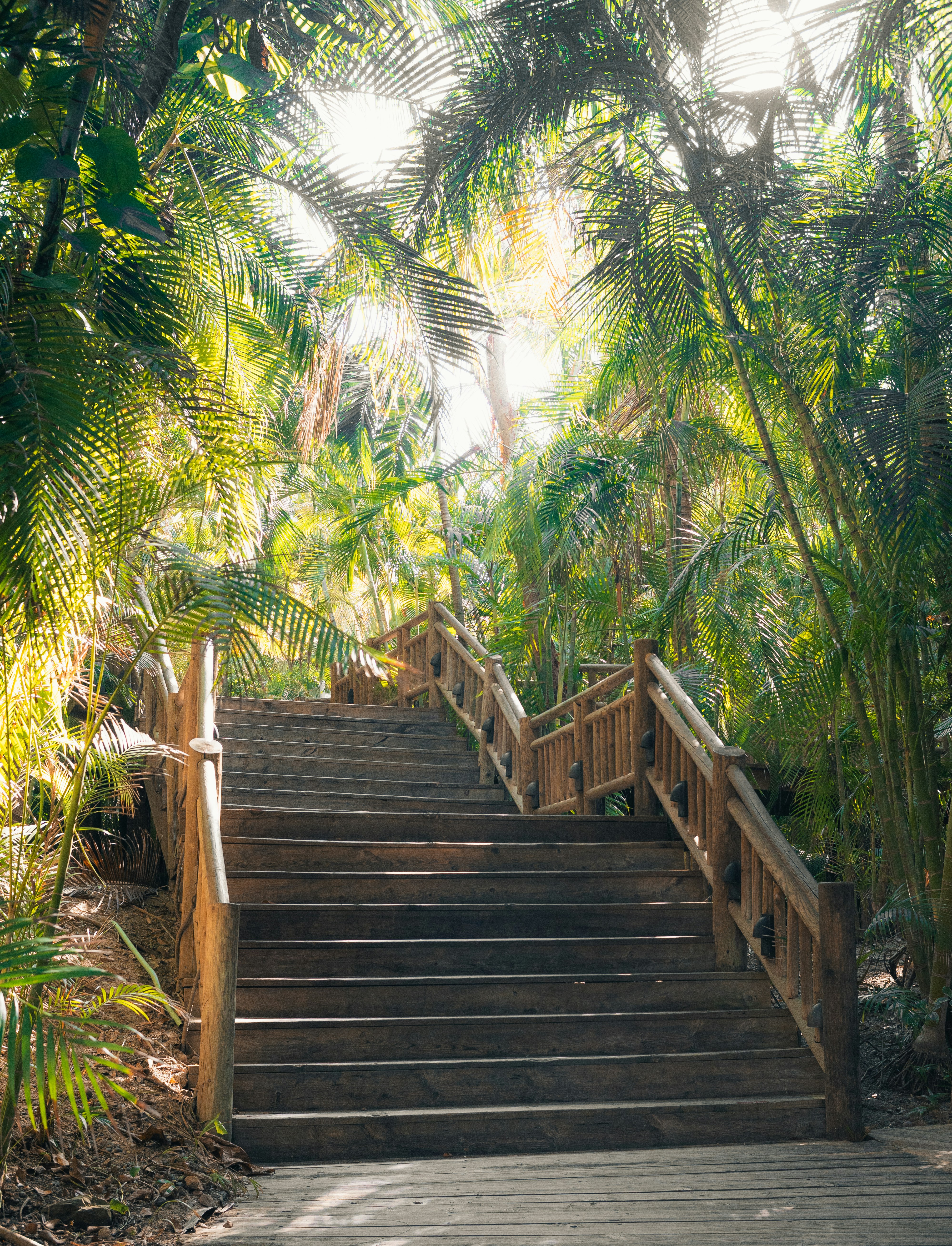 Photo by gomezalvador