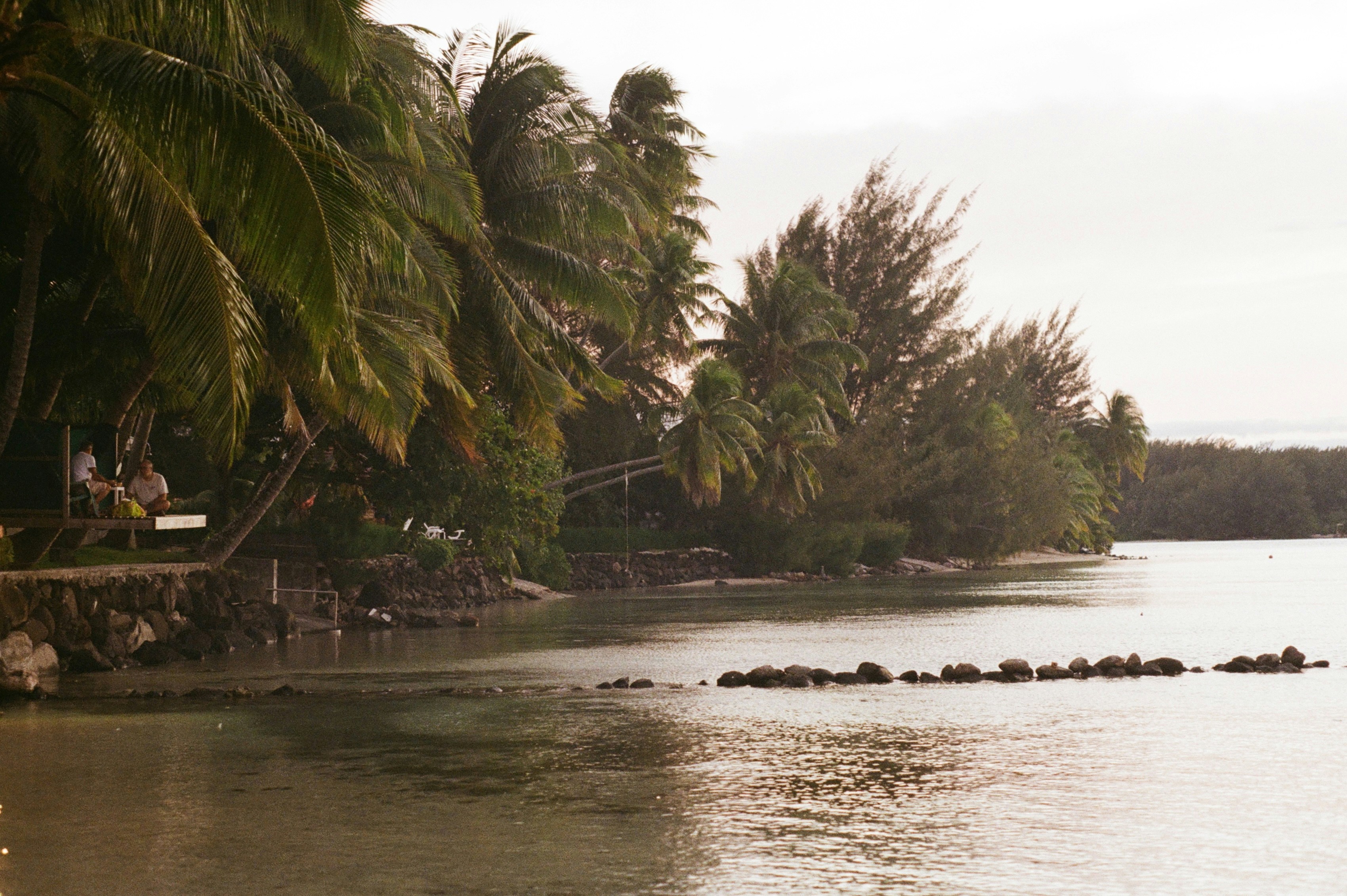 Photo by hazelbarlow