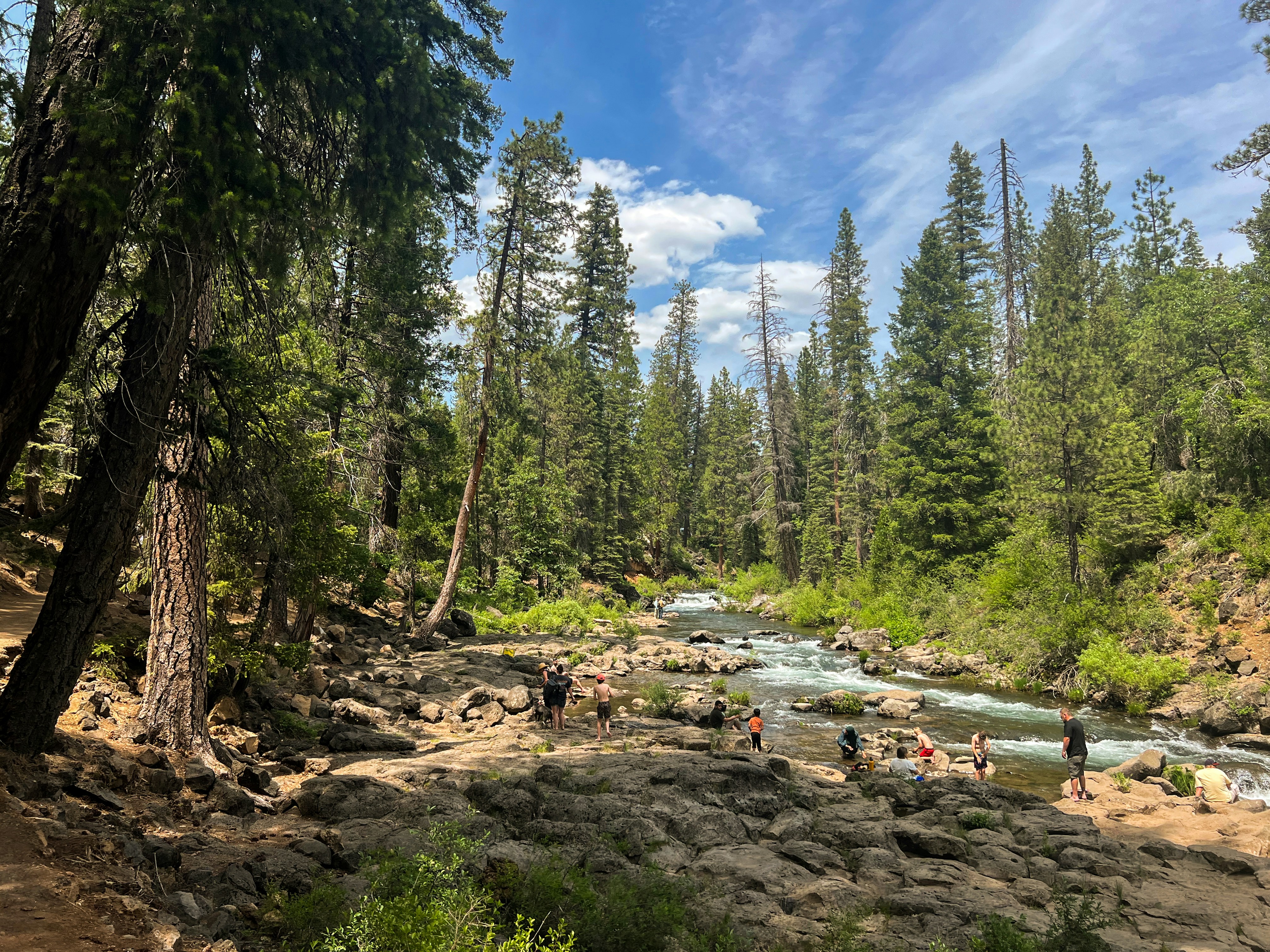 Photo by jaskirat_billing