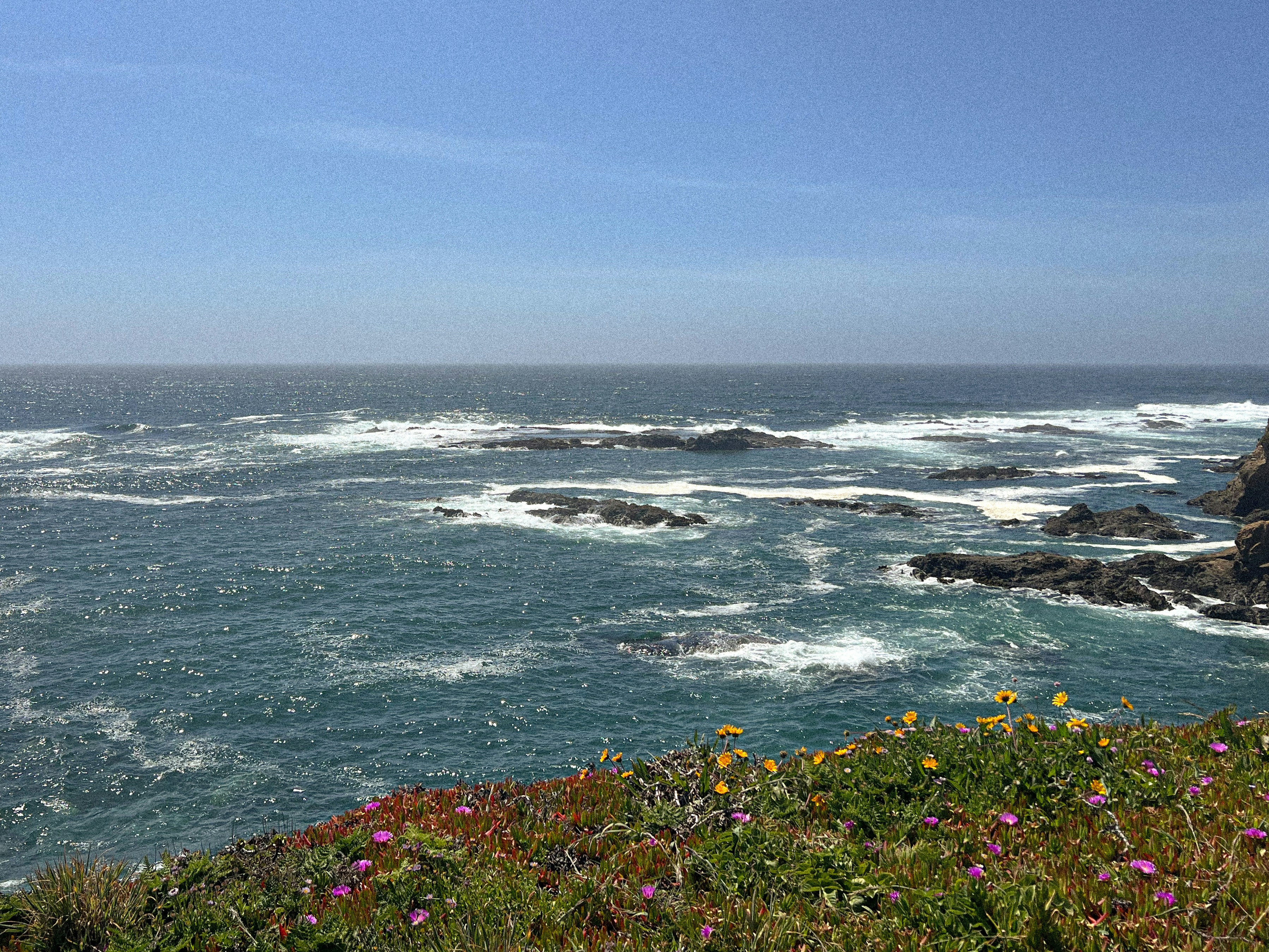 Photo by jaskirat_billing