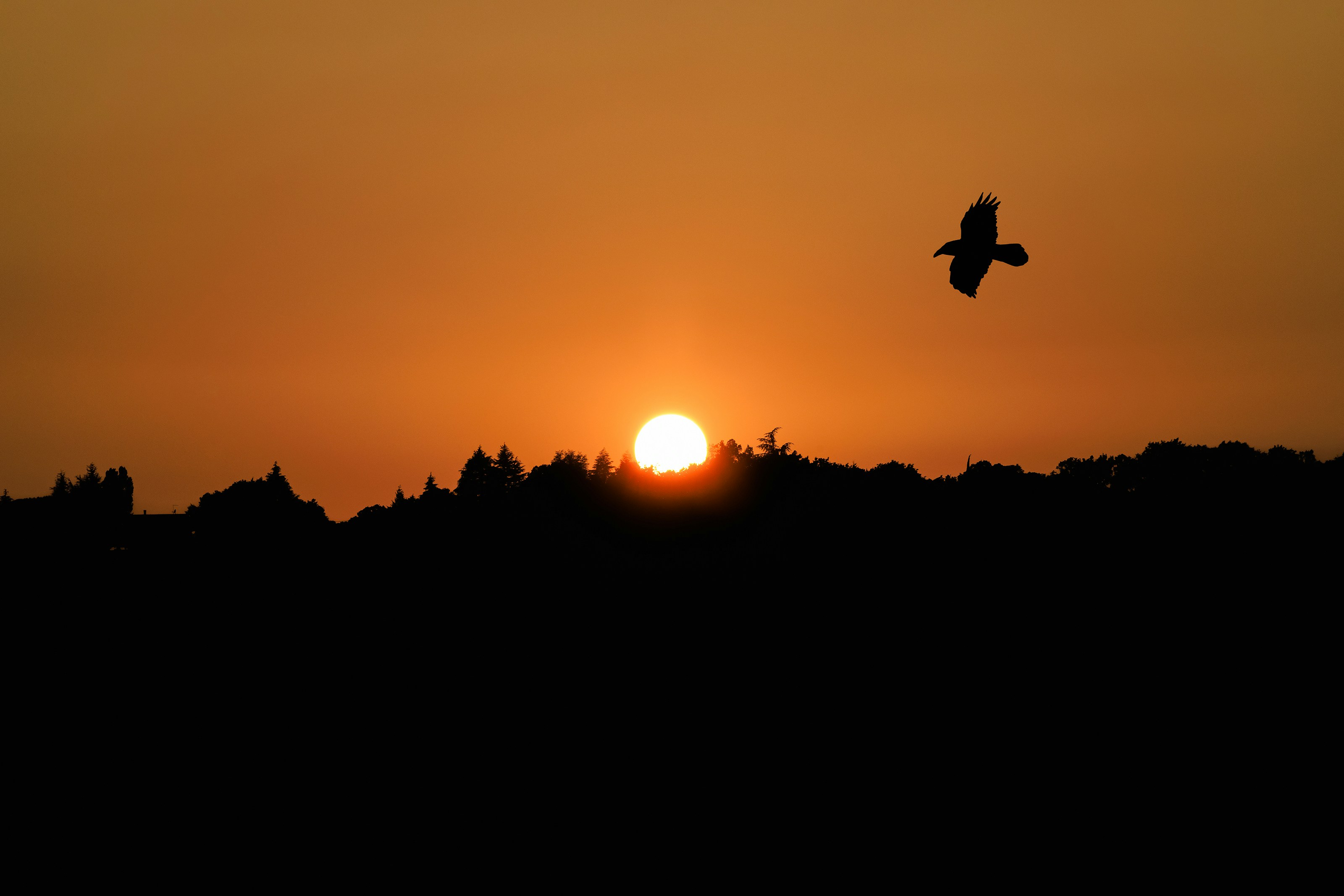 Photo by cristoforobonissone