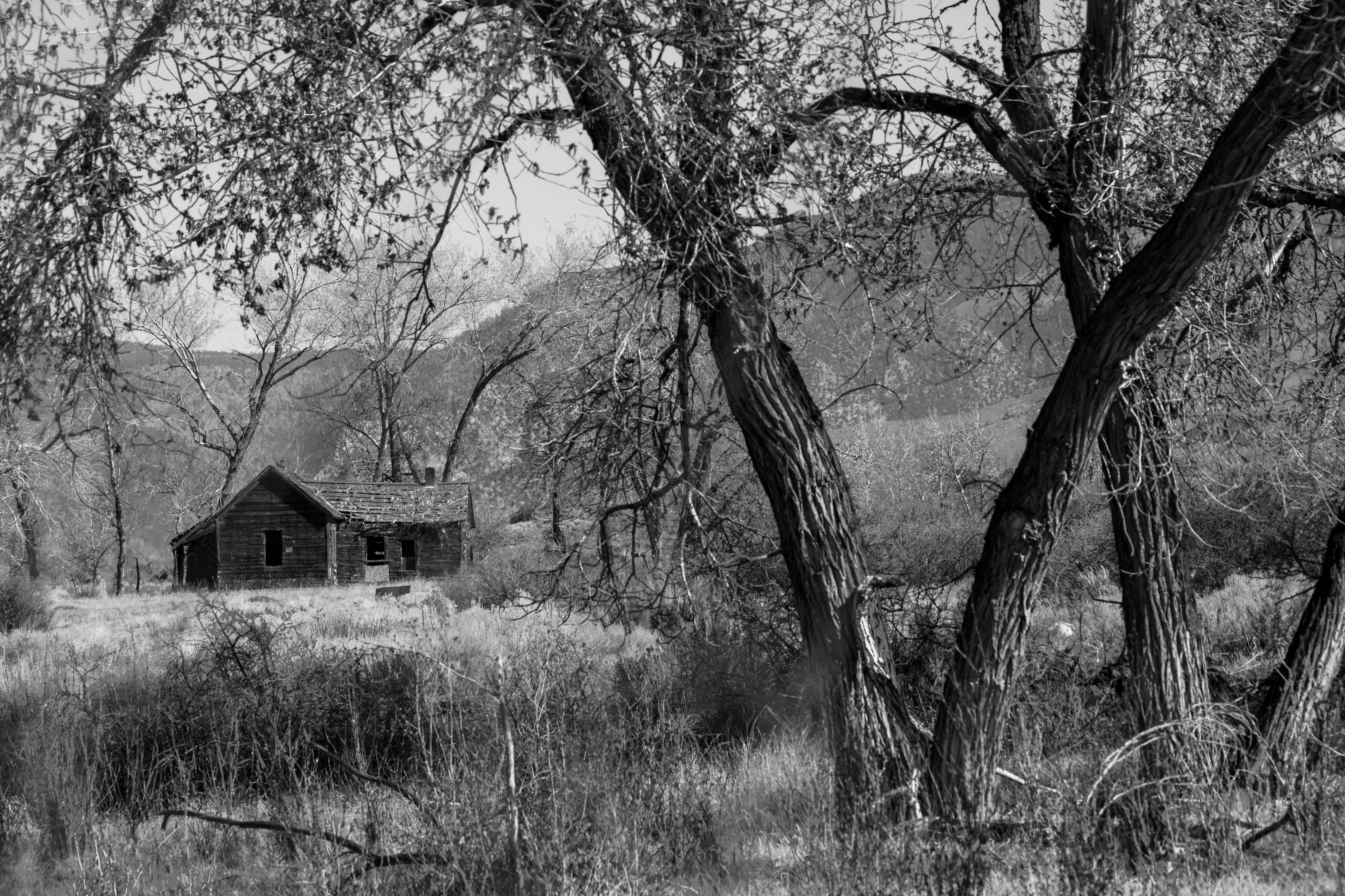 Photo by donald_merrill