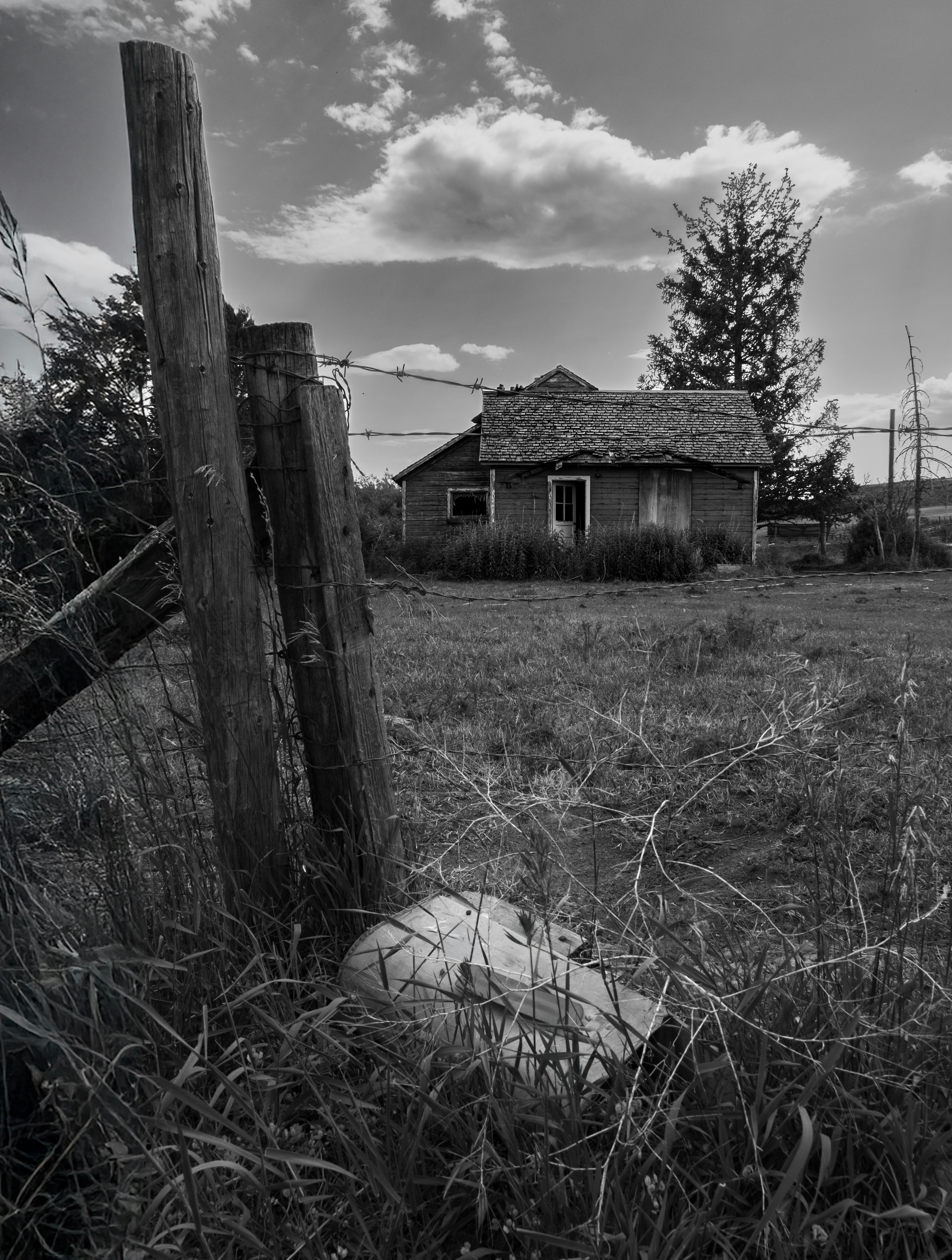 Photo by donald_merrill